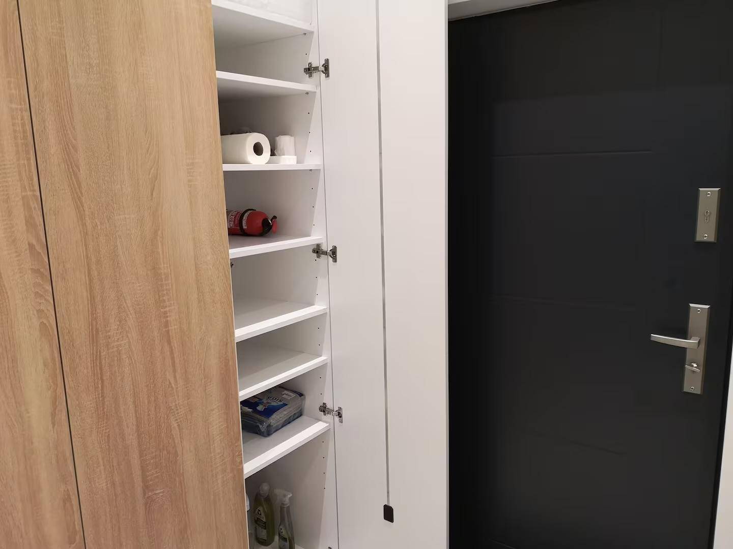 Flur mit dunkler Eingangstür und praktischem Einbauschrank für Stauraum.
