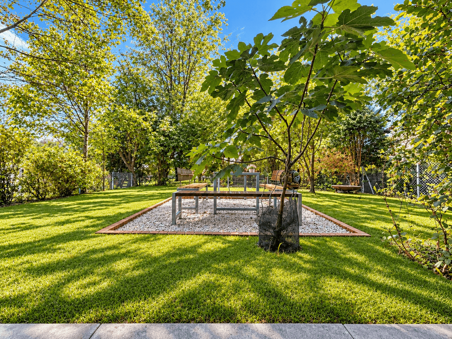 Sonniger Gartenbereich mit zentraler Kiesfläche, Esstisch und jungem Feigenbaum.