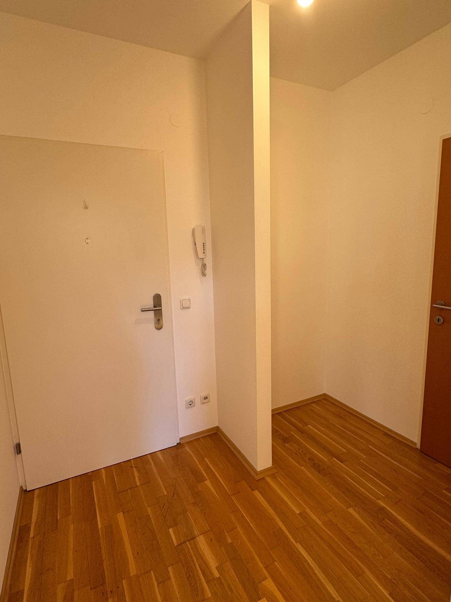 Eingangsbereich mit Parkettboden und weißer Wohnungstür, bietet Zugang zu den Räumen.
