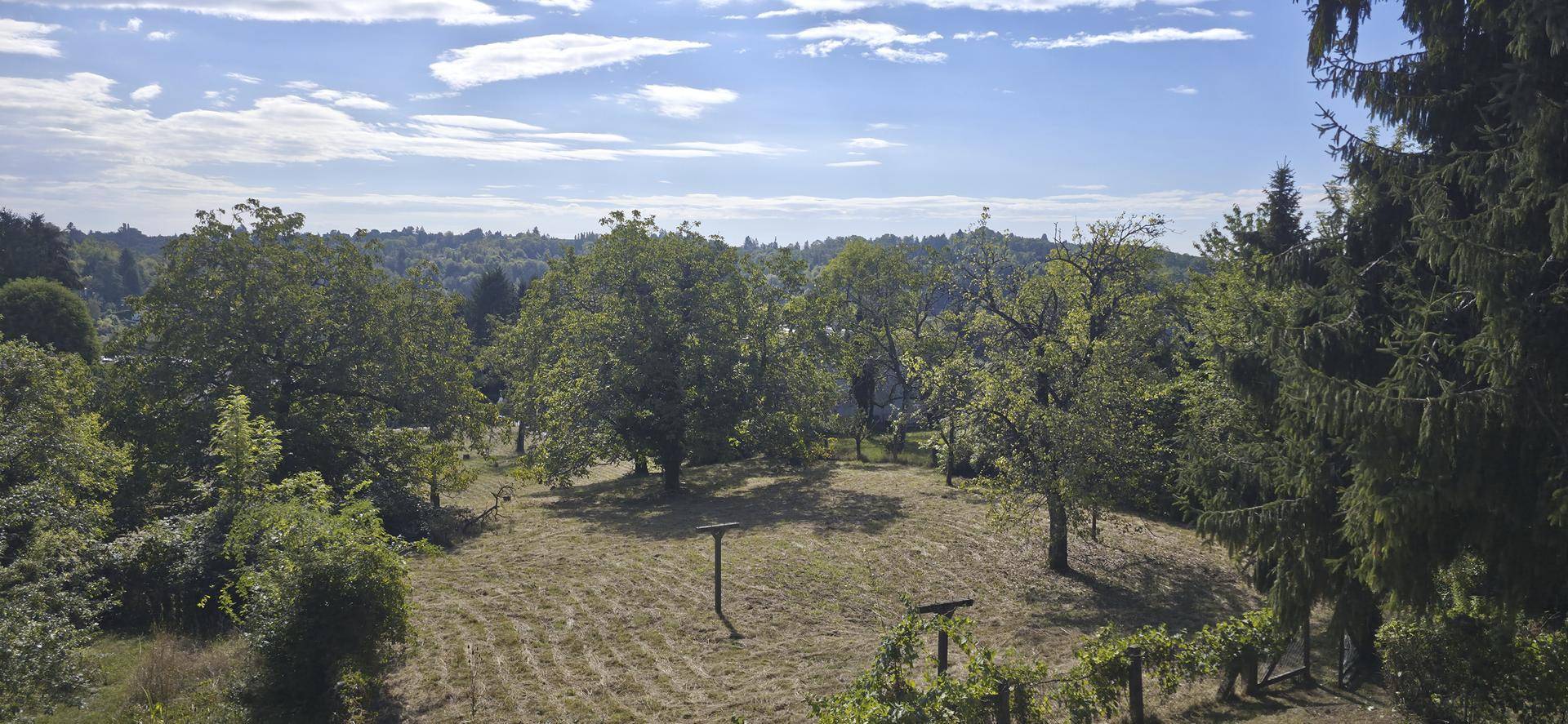 Großes, grünes Grundstück mit vielen Bäumen und einer weiten Wiesenfläche unter blauem Himmel.