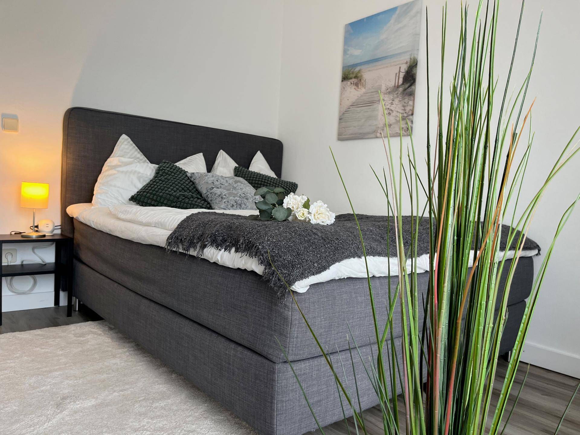 Modernes Schlafzimmer mit Boxspringbett, Nachttischlampe und dekorativer Pflanze.