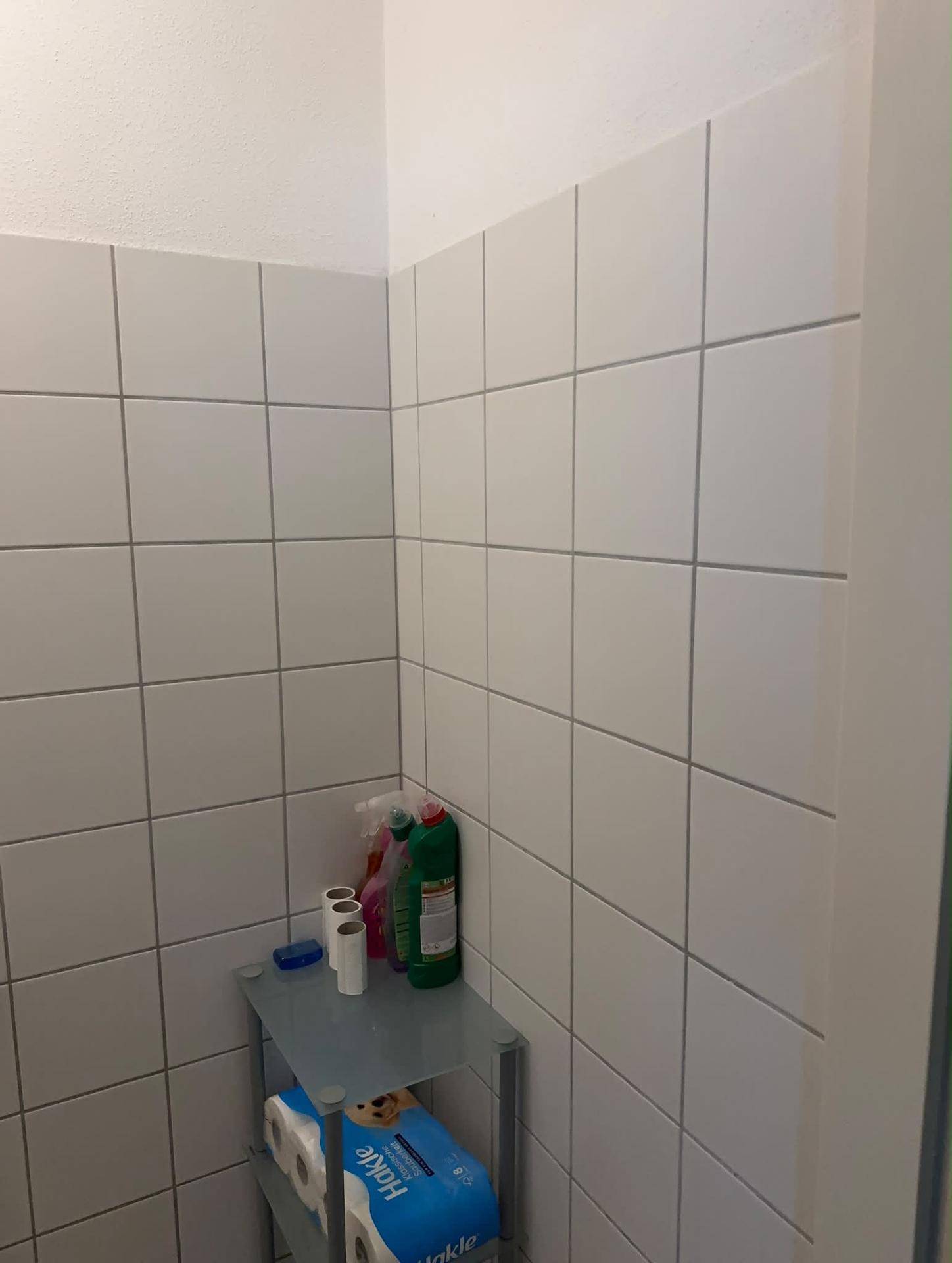 Ecke eines Gäste-WCs mit weißen Wandfliesen und einem Regal für Reinigungsutensilien.