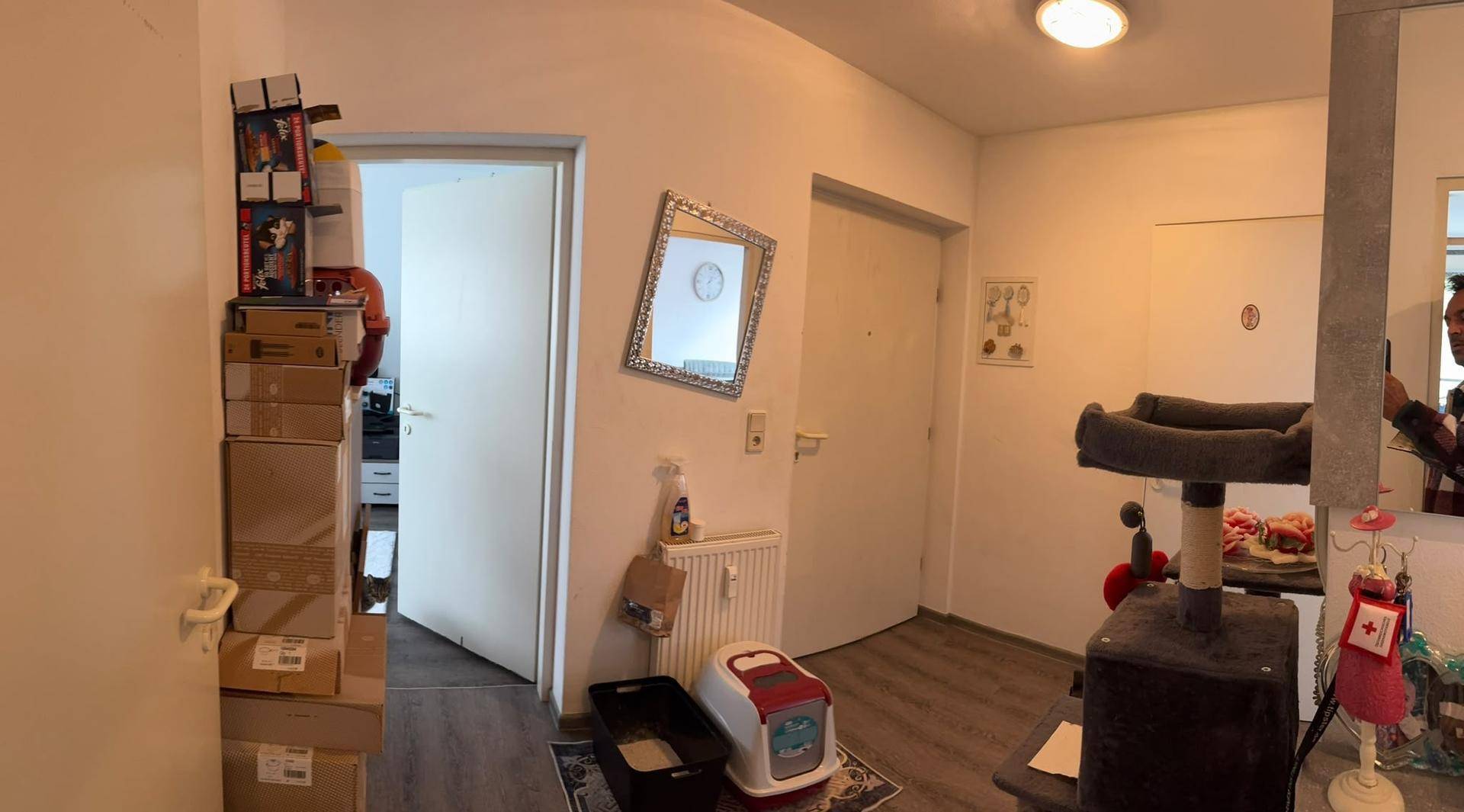 Heller Eingangsbereich mit Spiegel, Katzenbaum und Zugang zu verschiedenen Zimmern.