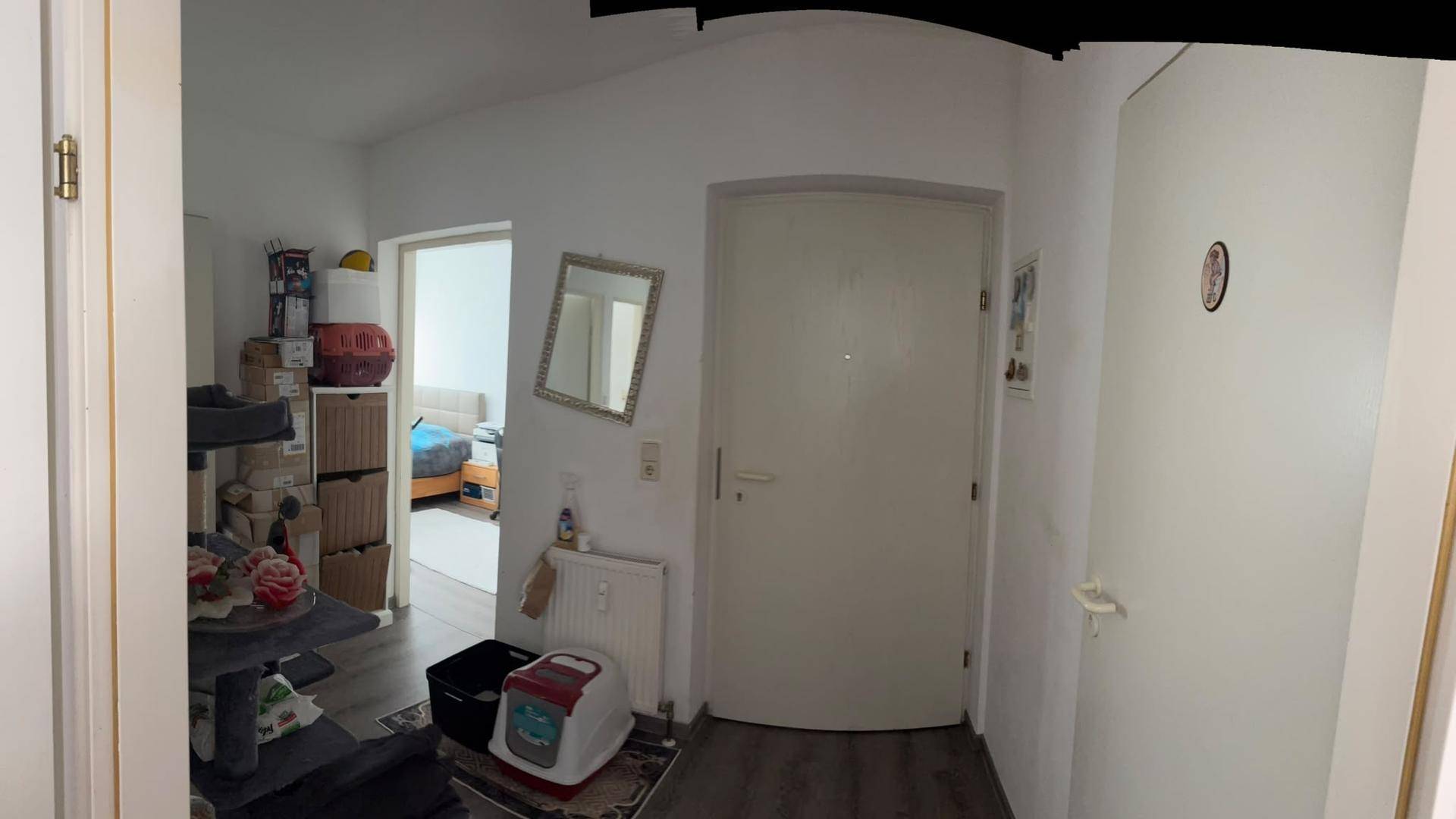 Eingangsbereich mit weißer Tür, kleinem Spiegel und Blick in angrenzende Wohnbereiche.
