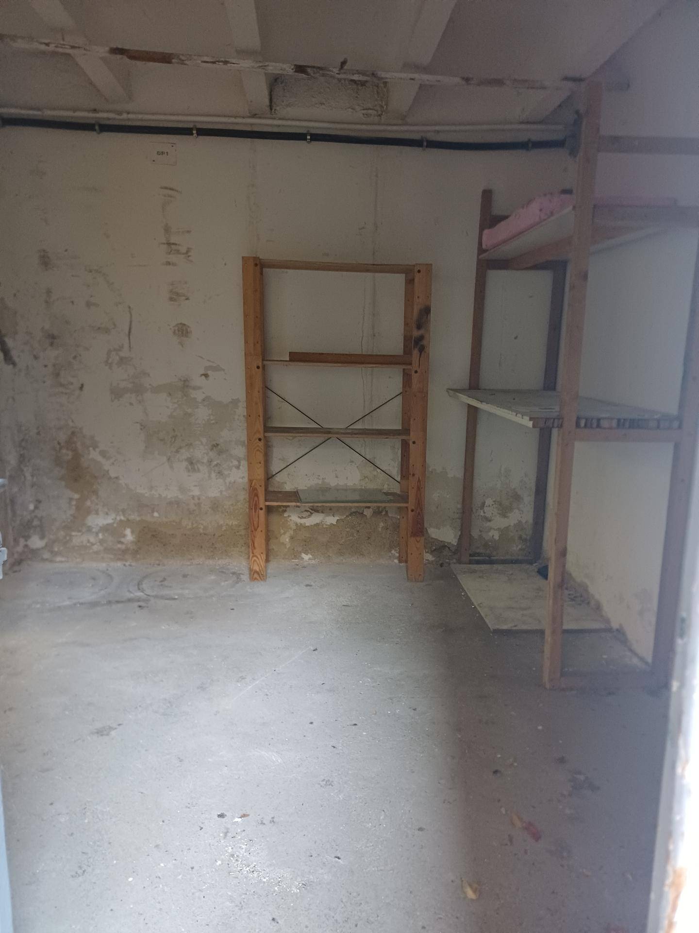 Einfacher Kellerraum mit Betonboden und sichtbaren Holzregalen an den Wänden.