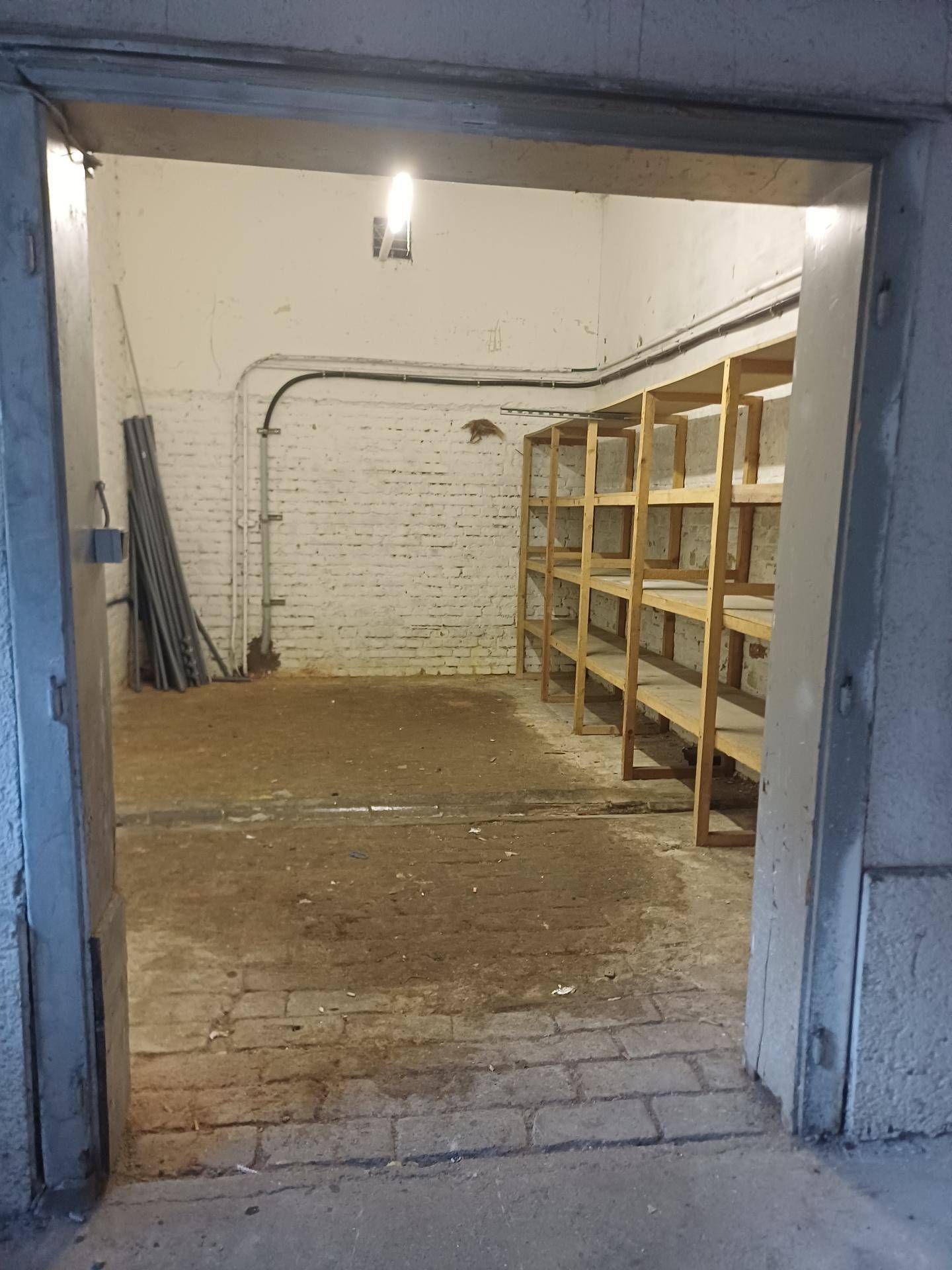 Geräumiger Kellerraum mit Holzregalen, Ziegelwand und gefliestem Boden.