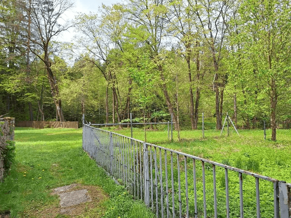 Grüner Gartenbereich mit Metallzaun, Rasenfläche und Bäumen im Hintergrund.