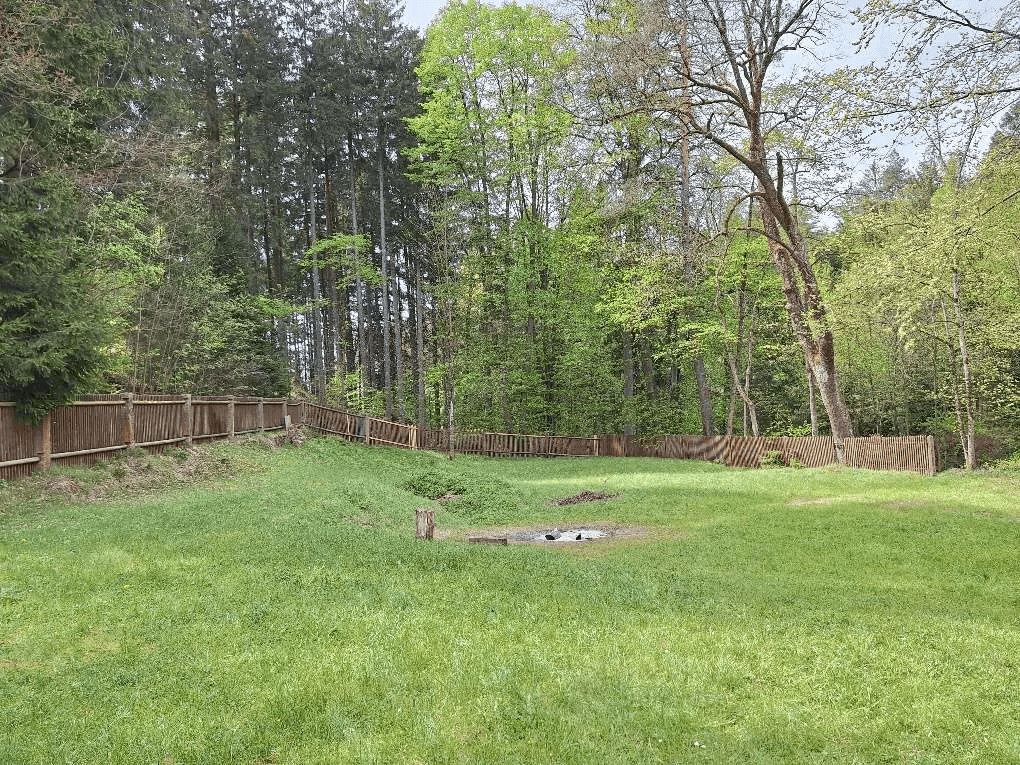 Große grüne Rasenfläche mit Holzzaun, umgeben von dichtem Wald und Bäumen.