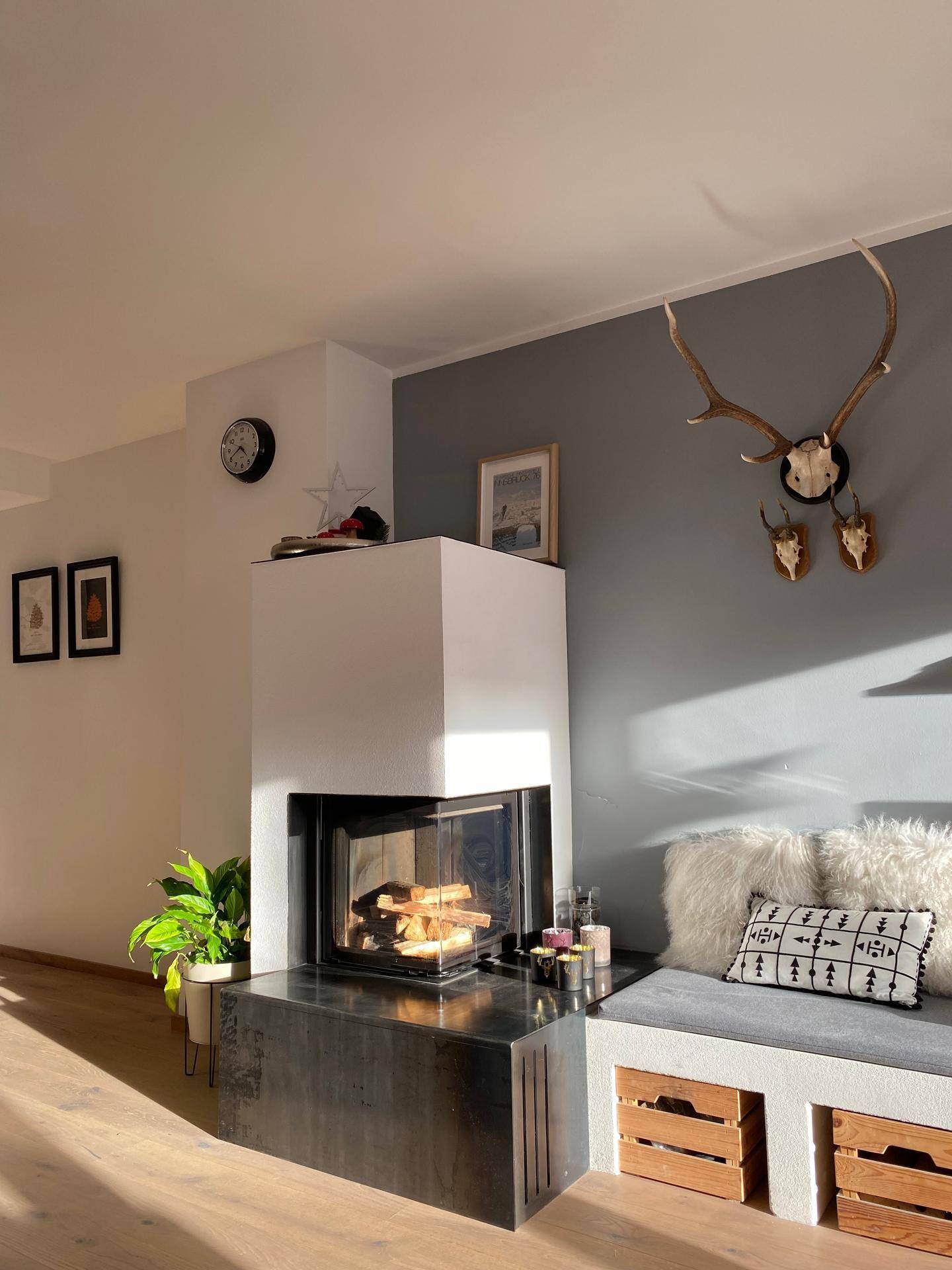 Helles Wohnzimmer mit modernem Kamin, Holzboden und alpiner Dekoration.