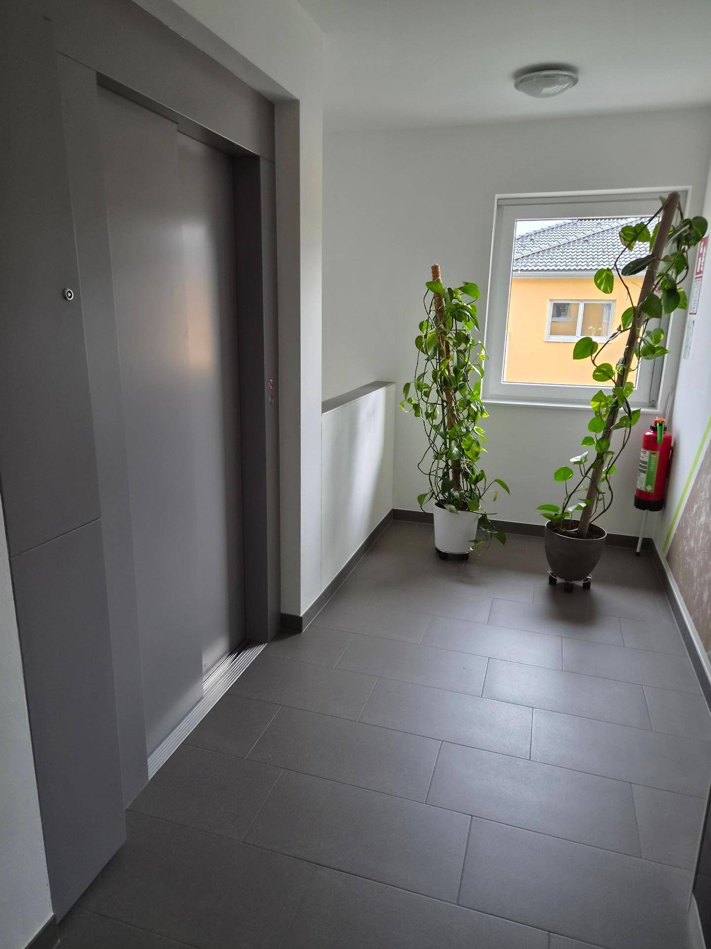 Heller Eingangsbereich mit modernem Aufzug, Fenster und dekorativen Pflanzen.