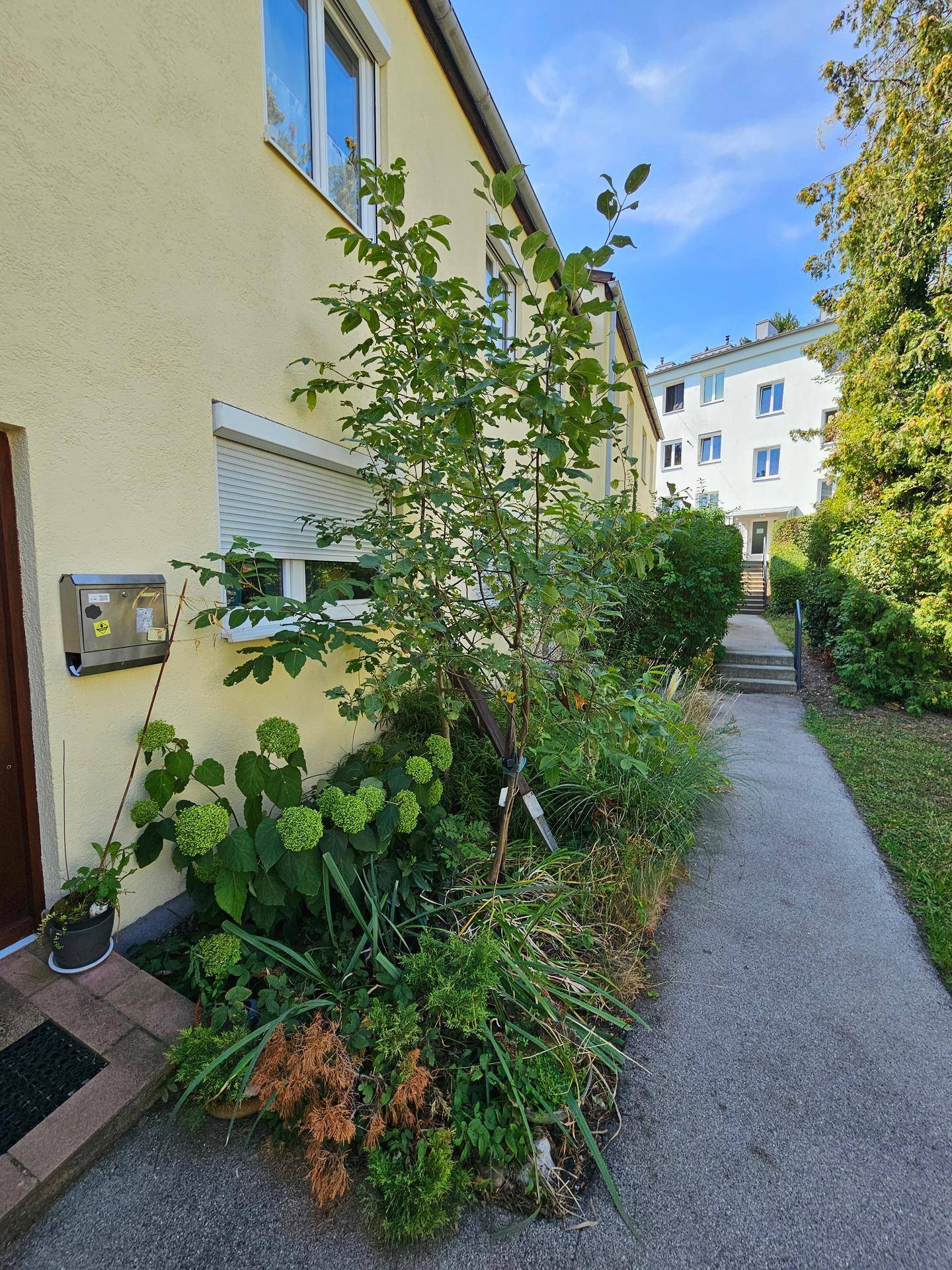 Seitenansicht eines Hauses mit gepflegtem Vorgarten und Zugang zu einem Fußweg.