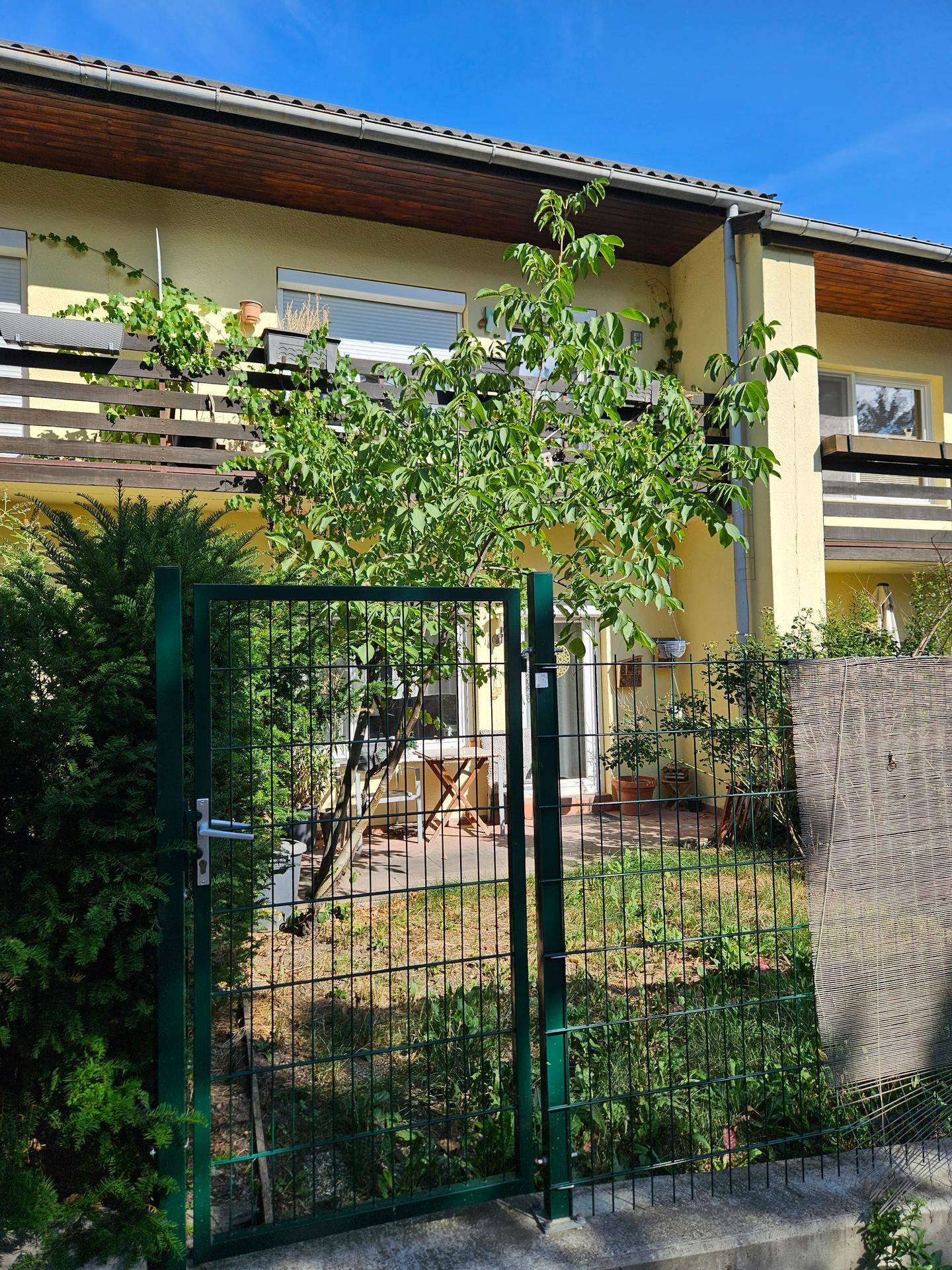 Eingezäunter Vorgarten mit Zugang zum Haus und einer kleinen Terrasse im Grünen.