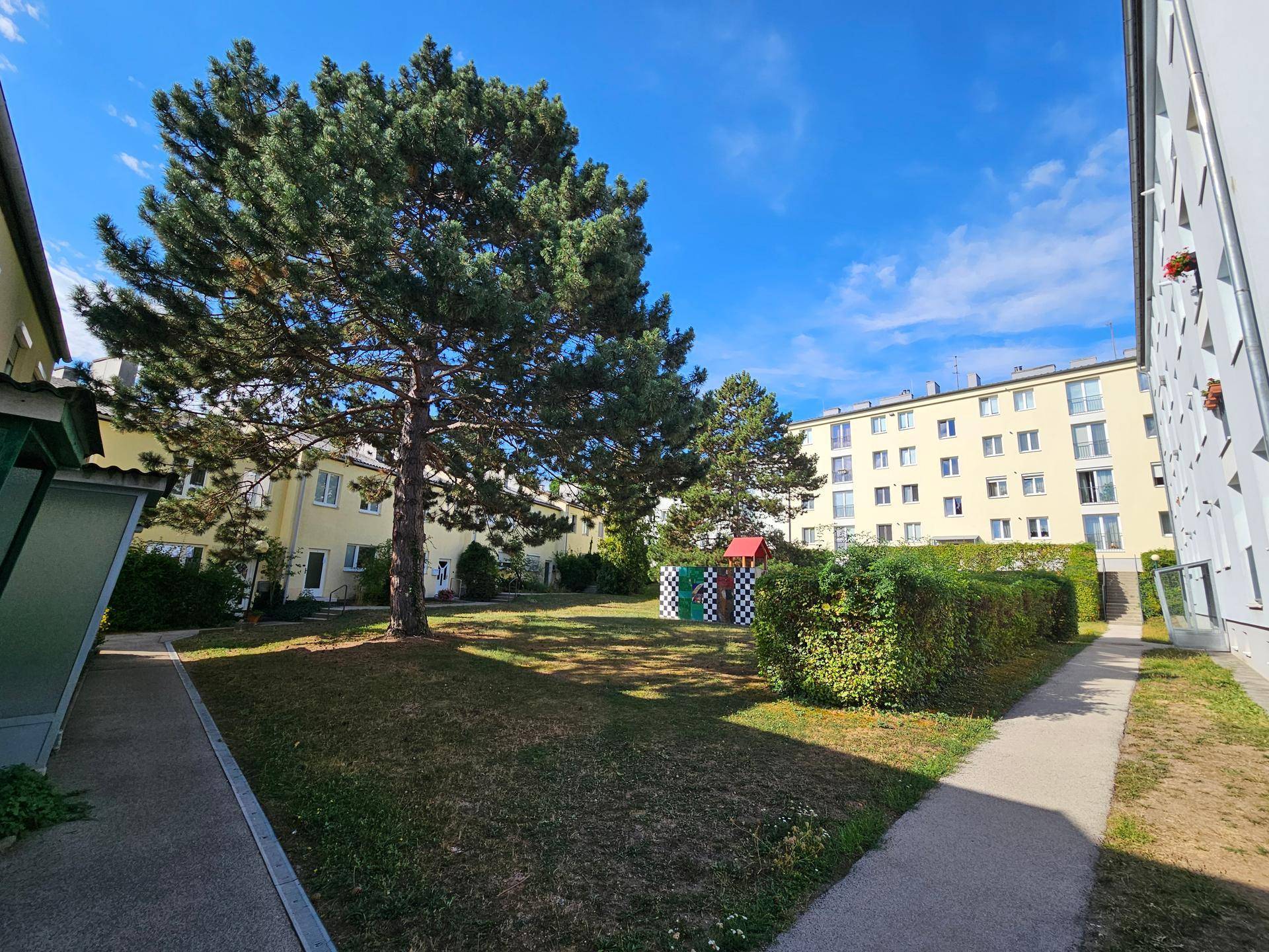 Gemeinschaftlicher Gartenbereich mit großem Baum, Rasenfläche und umliegenden Wohngebäuden.