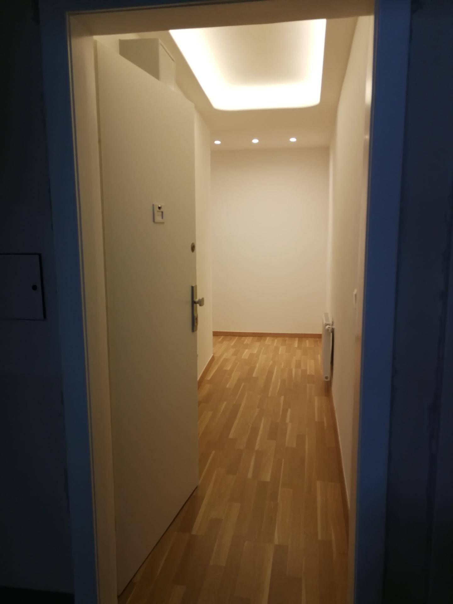 Heller Eingangsbereich mit Holzboden und moderner Deckenbeleuchtung.