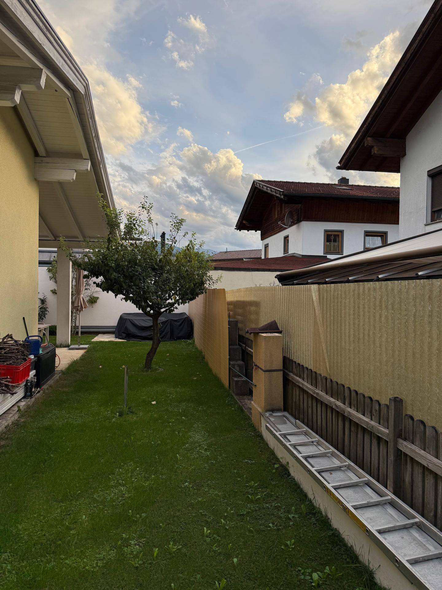 Gepflegter Gartenstreifen mit Rasen, jungem Baum und angrenzendem Zaun.