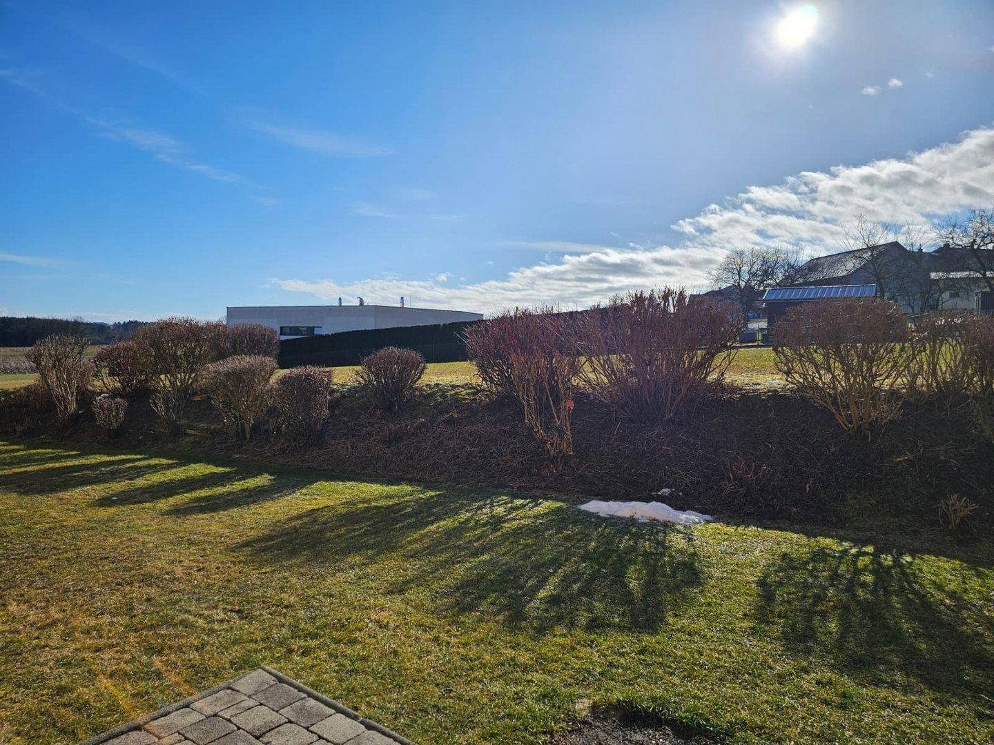 Weitläufige Grünfläche mit Büschen und sonnigem Himmel, im Hintergrund sind Gebäude sichtbar.