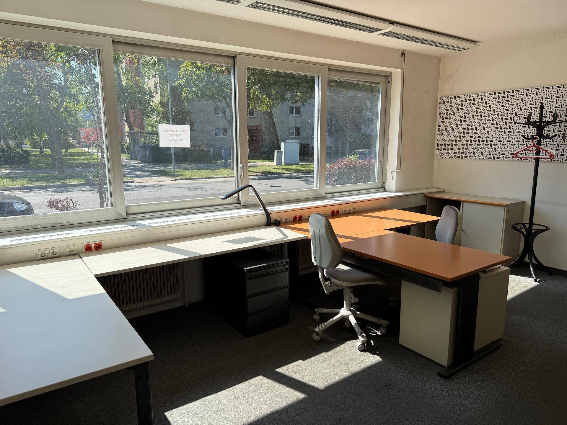 Großes Büro mit Teppichboden, Schreibtischen und breiten Fenstern, bietet viel Tageslicht.