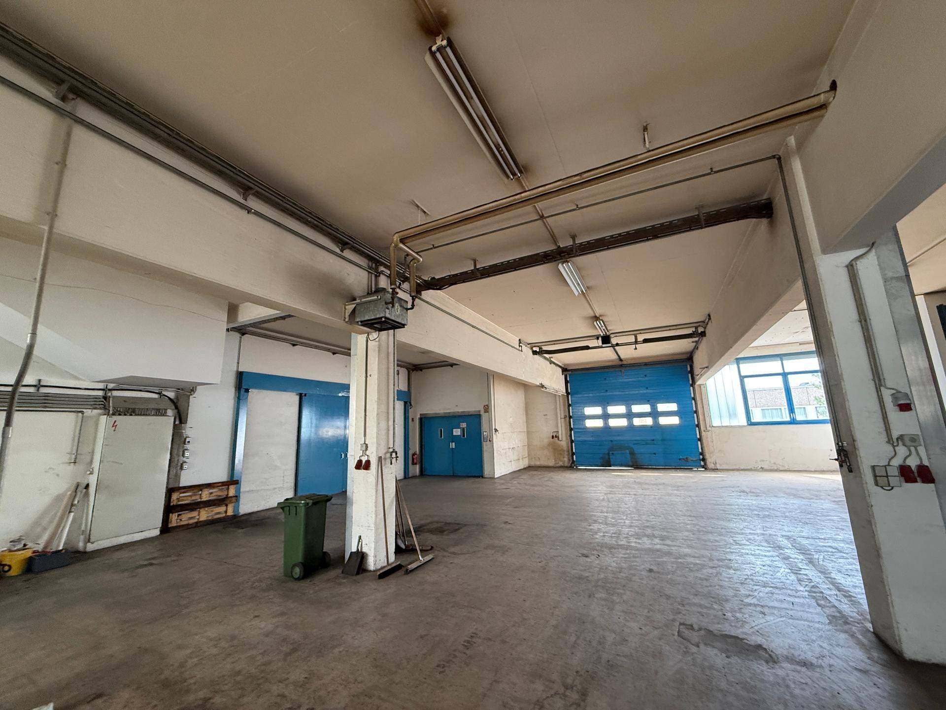 Große Lagerhalle mit Betonboden, Rolltor und hohen Decken, ideal für Logistik und Lagerung.