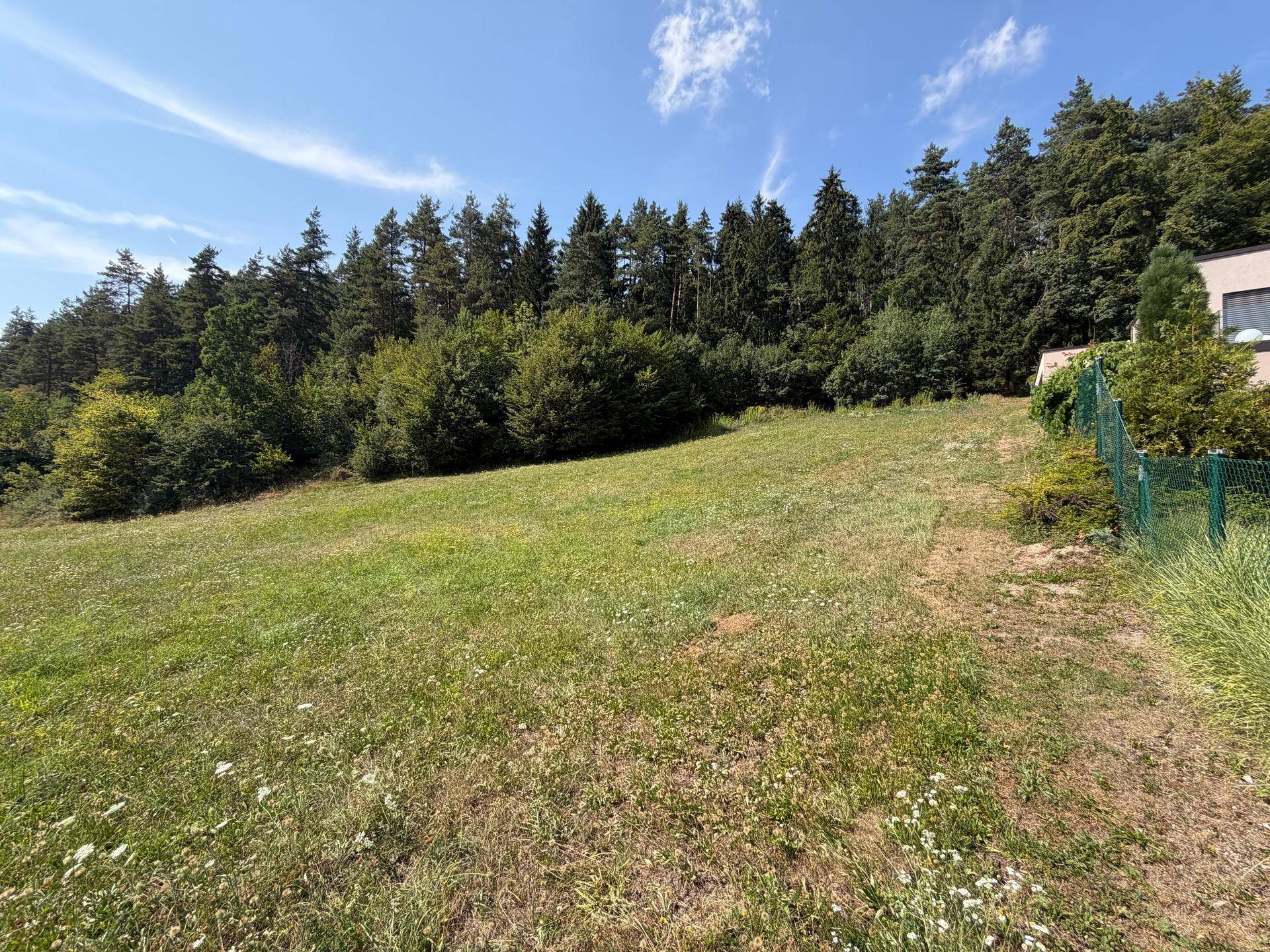 Grünes, leicht abfallendes Grundstück umgeben von dichtem Wald und einem Zaun.