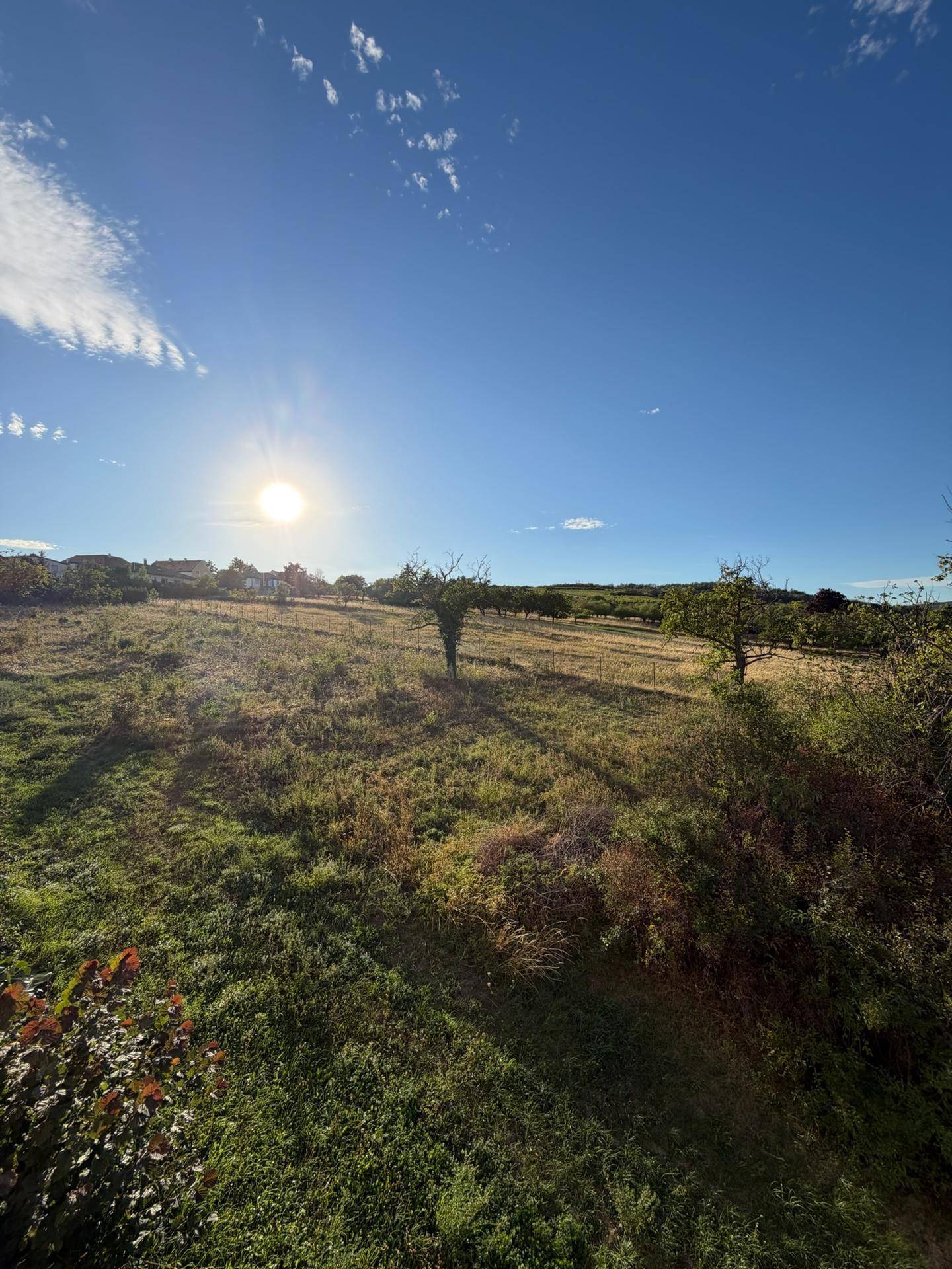 Weitläufiger Blick über grüne Felder und Bäume unter blauem Himmel.