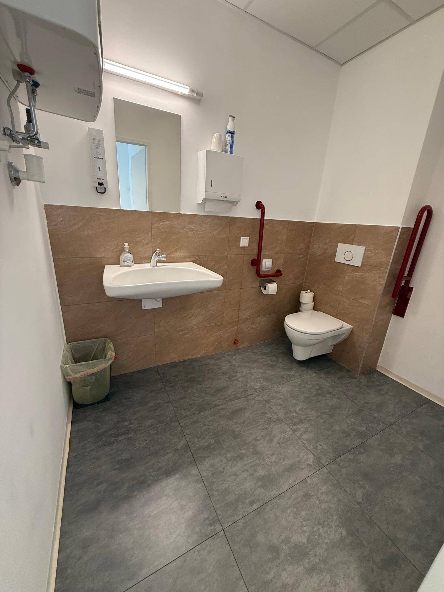 Modernes barrierefreies Badezimmer mit Wand-WC, Waschbecken und roten Haltegriffen für mehr Sicherheit.