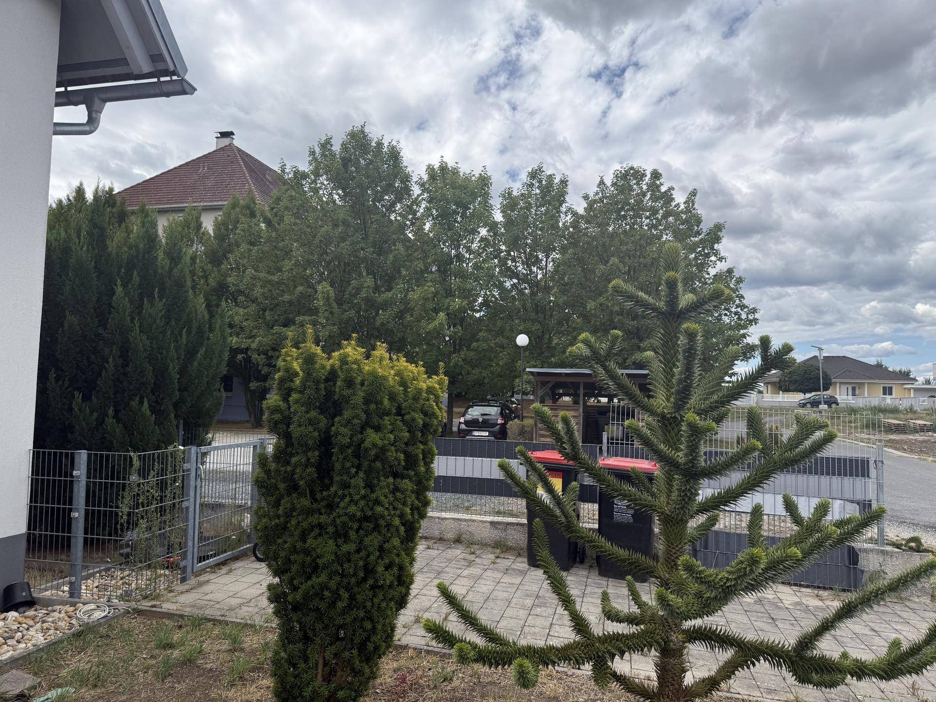 Detailansicht des Vorgartens mit Zierpflanzen, Mülltonnen und Blick auf die Straße.