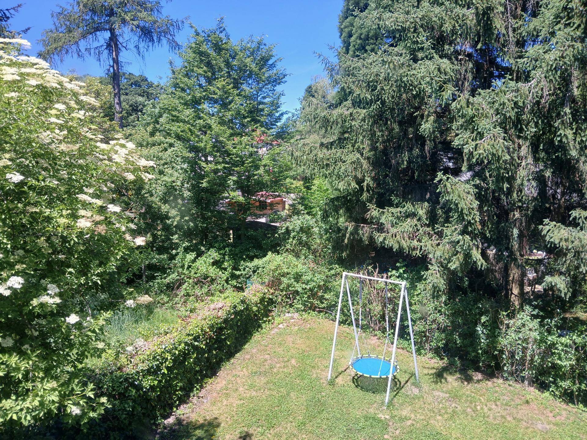 Blick von oben auf einen grünen Garten mit Schaukel, umgeben von dichtem Baumbestand.