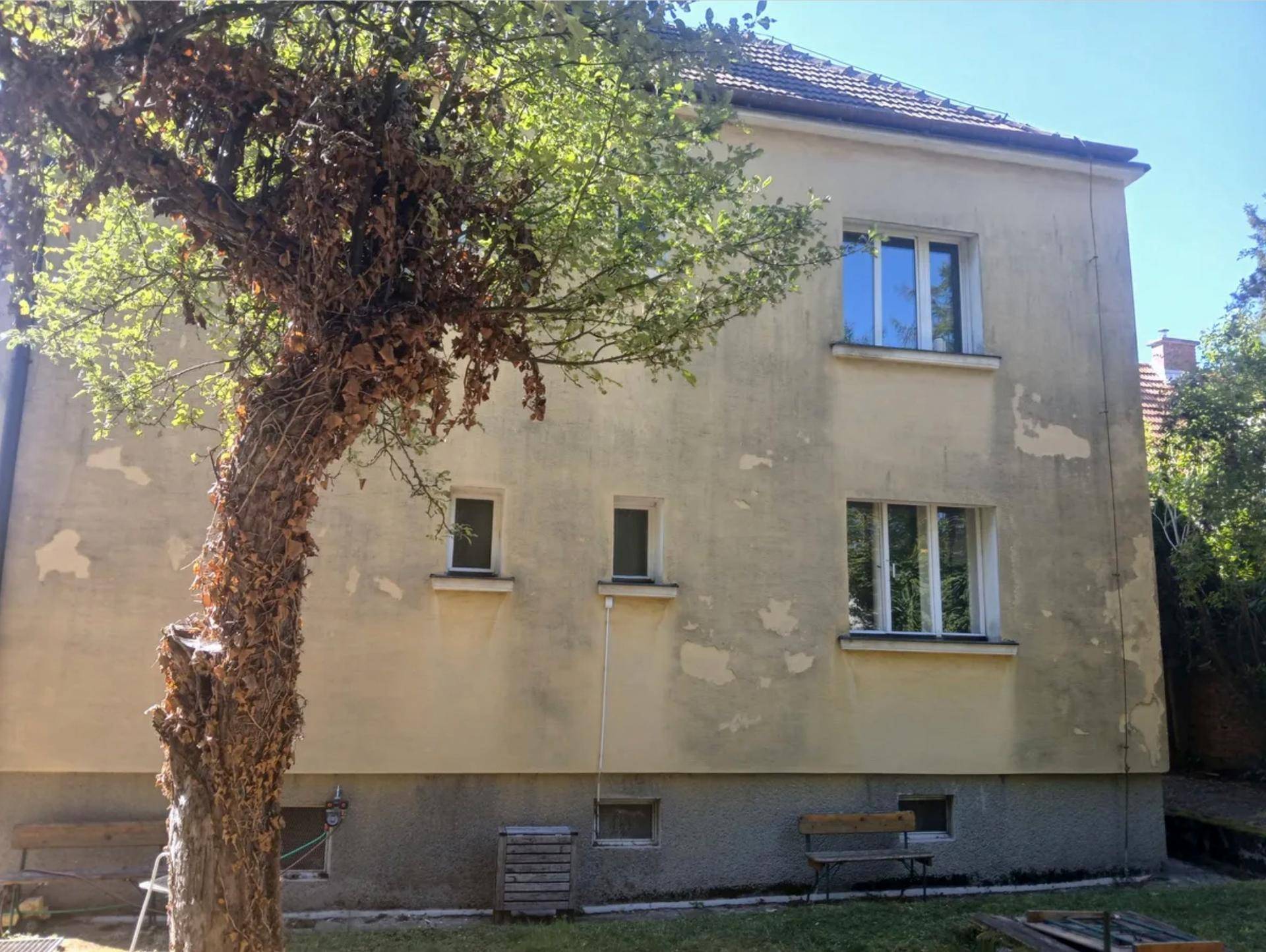 Seitenansicht des Wohnhauses mit abblätterndem Putz, umgeben von einem großen Baum und Grünflächen.