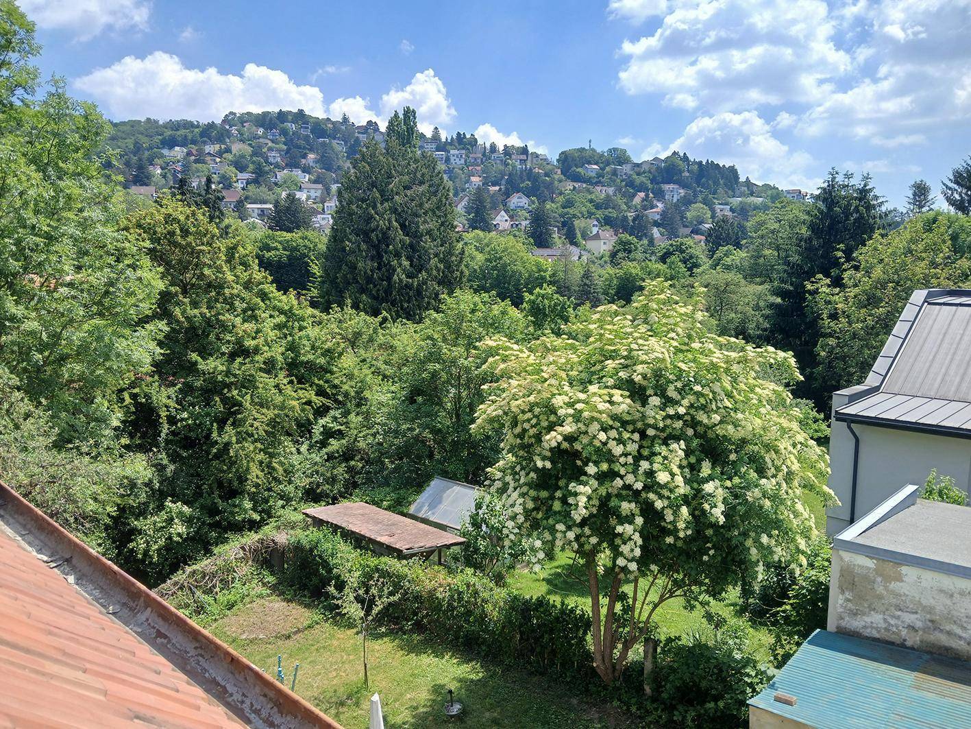 Panoramablick über den grünen Garten und die bewaldeten Hügel mit Häusern in der Ferne.