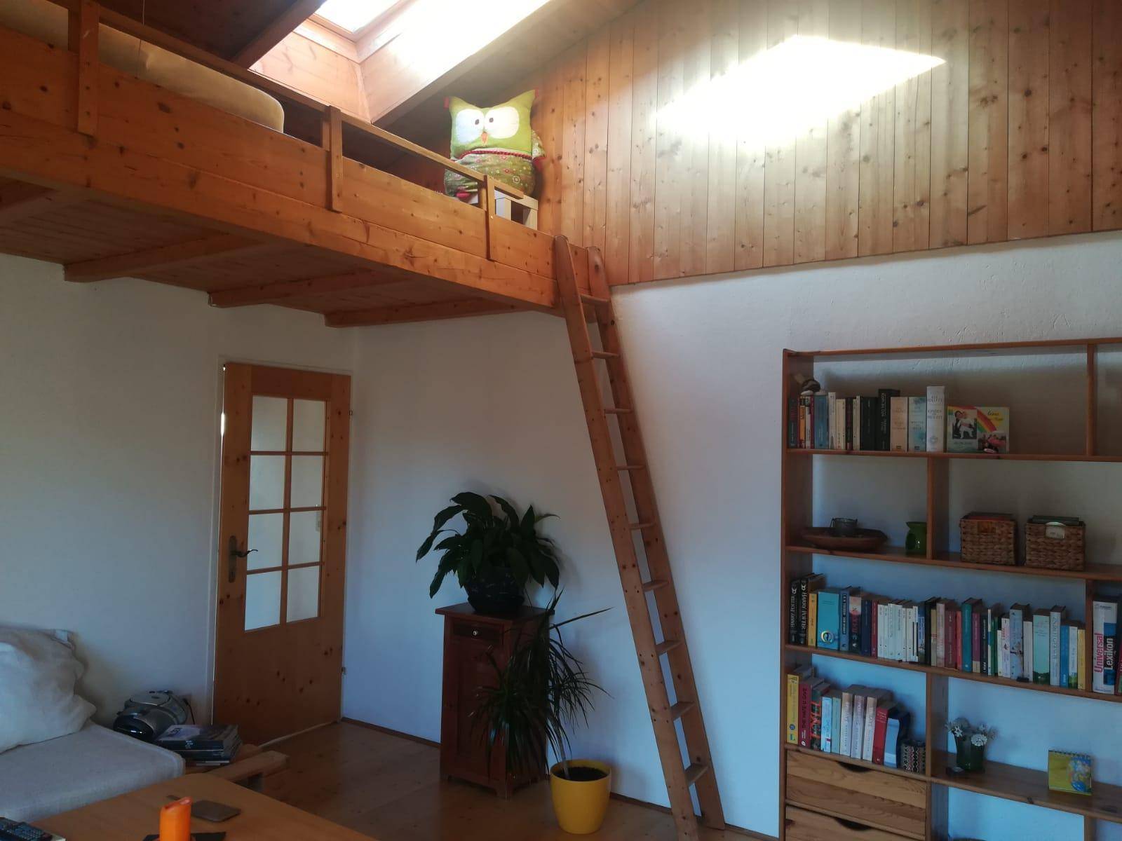 Wohnbereich mit Holz-Hochbett, Leiter, Bücherregal und Dachfenster für viel Licht.