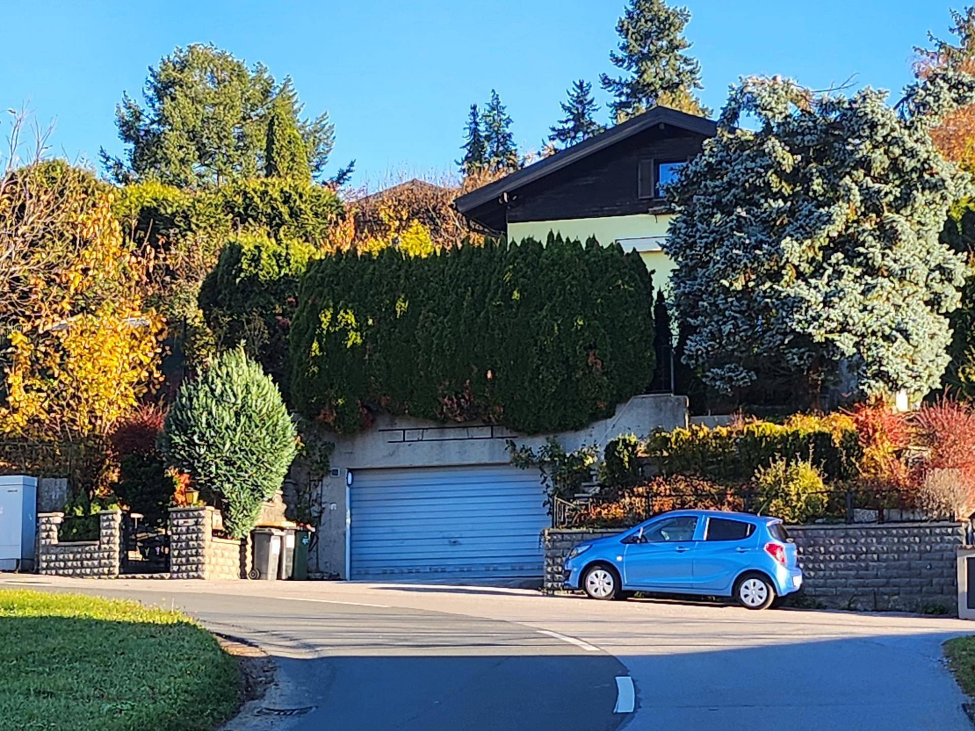 Einfamilienhaus mit integrierter Garage und gepflegter Bepflanzung an einer ruhigen Straße.