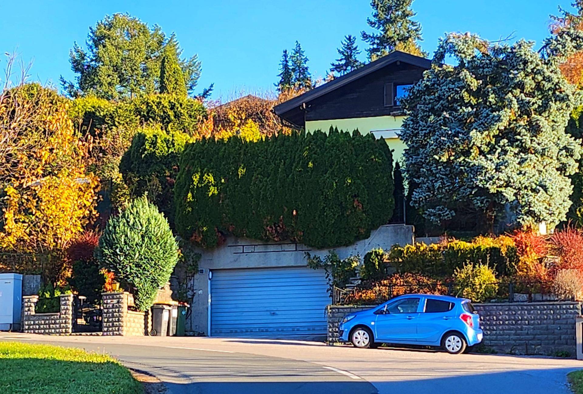 Einfamilienhaus mit integrierter Garage und gepflegter Bepflanzung an einer ruhigen Straße.