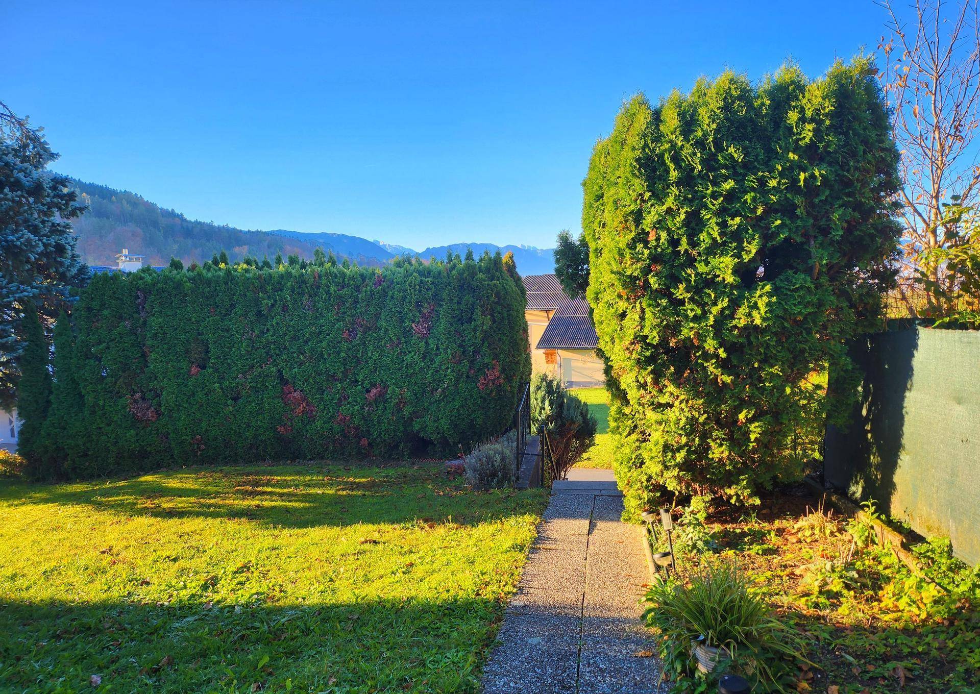 Gepflegter Gartenbereich mit Rasenfläche, hohen Hecken und einem Weg unter strahlend blauem Himmel.