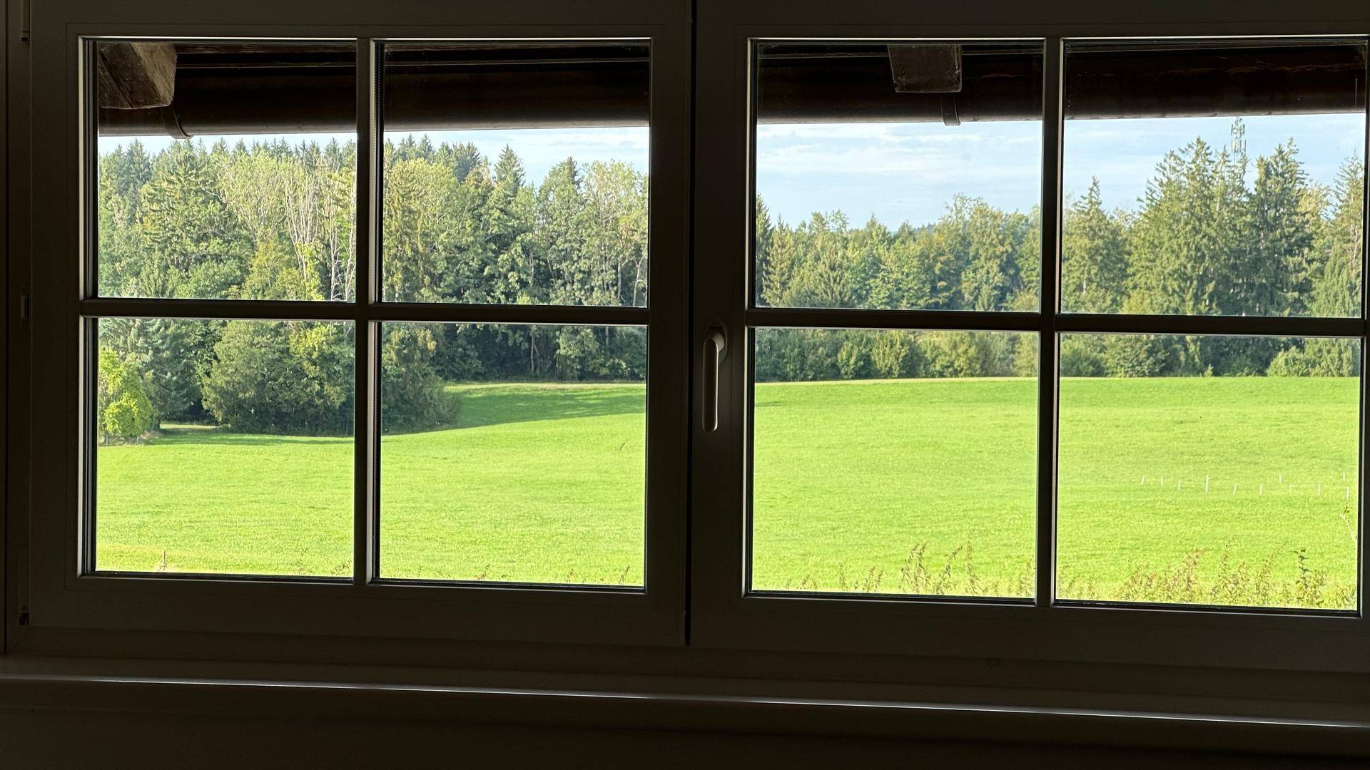 Fensterblick auf eine weite grüne Wiese und dichte Wälder in der Ferne.