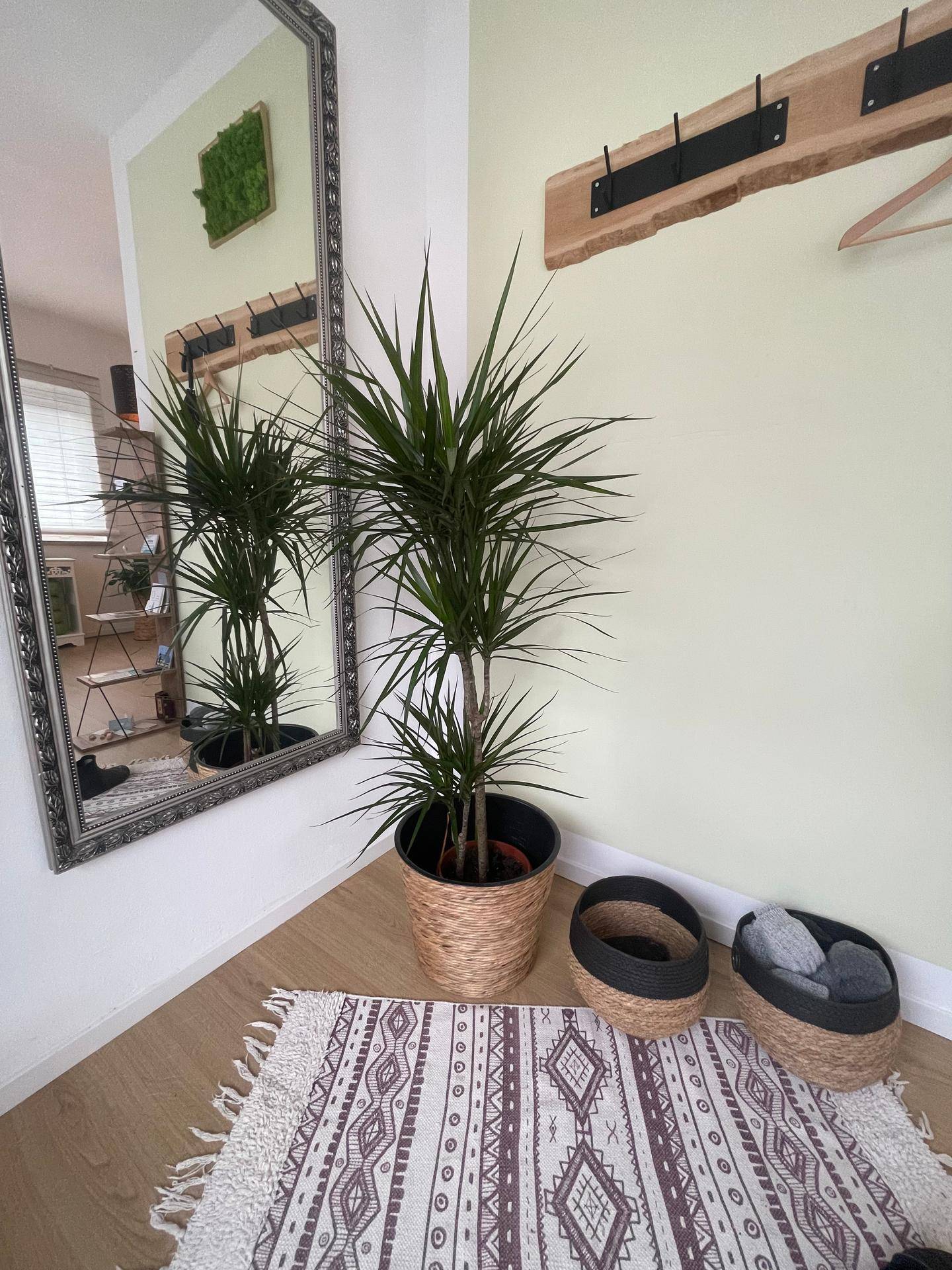 Eingangsbereich mit großem Spiegel, Holzgarderobe und einem gemusterten Teppich auf dem Holzboden.