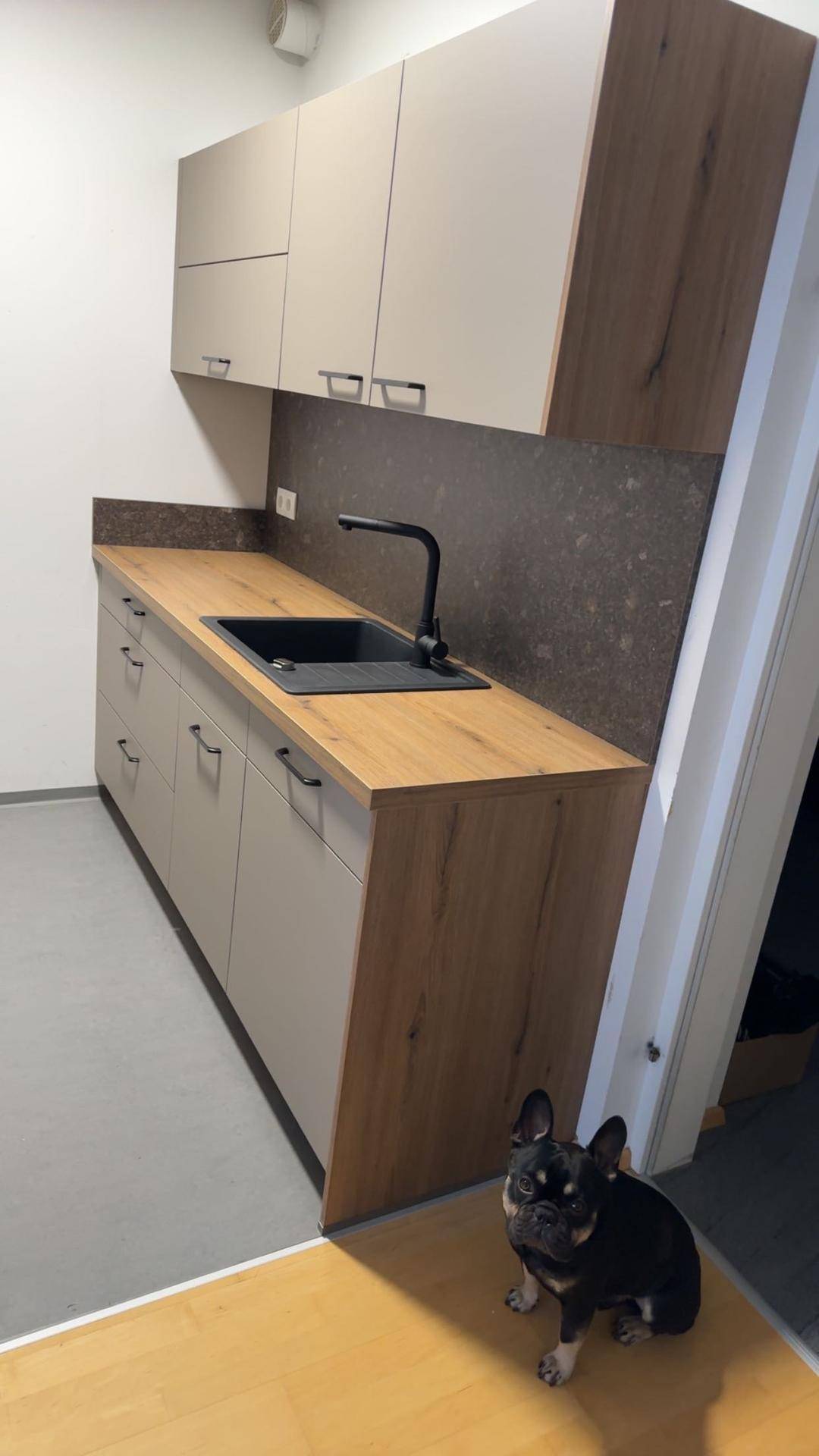 Küchenzeile mit Spüle, Holz-Arbeitsplatte und hellgrauen Oberschränken, ein Hund ist zu sehen.