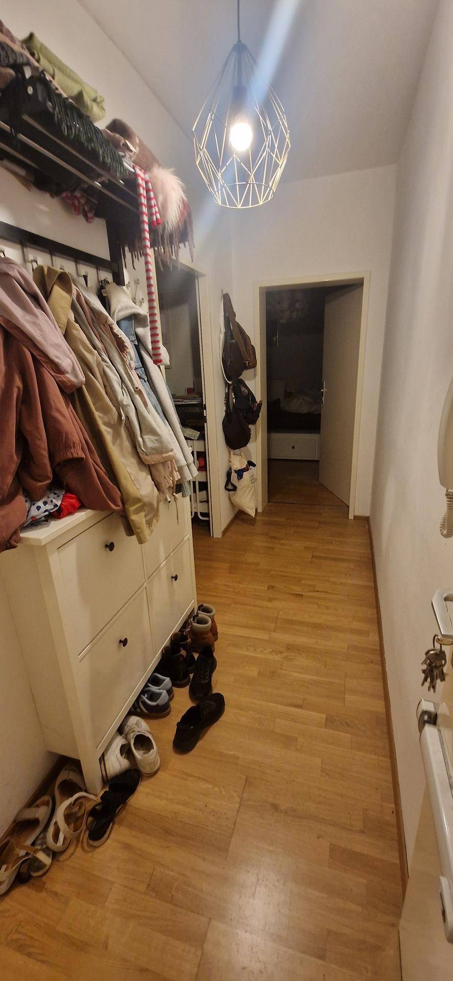 Flur mit Garderobe, Schuhablage und einer modernen Pendelleuchte, die den Raum erhellt.