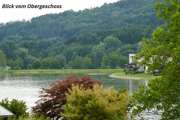 Weitblick vom Obergeschoss auf den See und den angrenzenden Wald mit üppiger Vegetation.