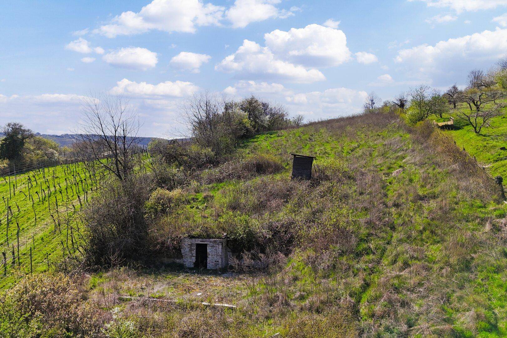 Grüner Weinberg am Hang mit kleinen, rustikalen Gebäuden und bewachsenen Hügeln unter blauem Himmel.