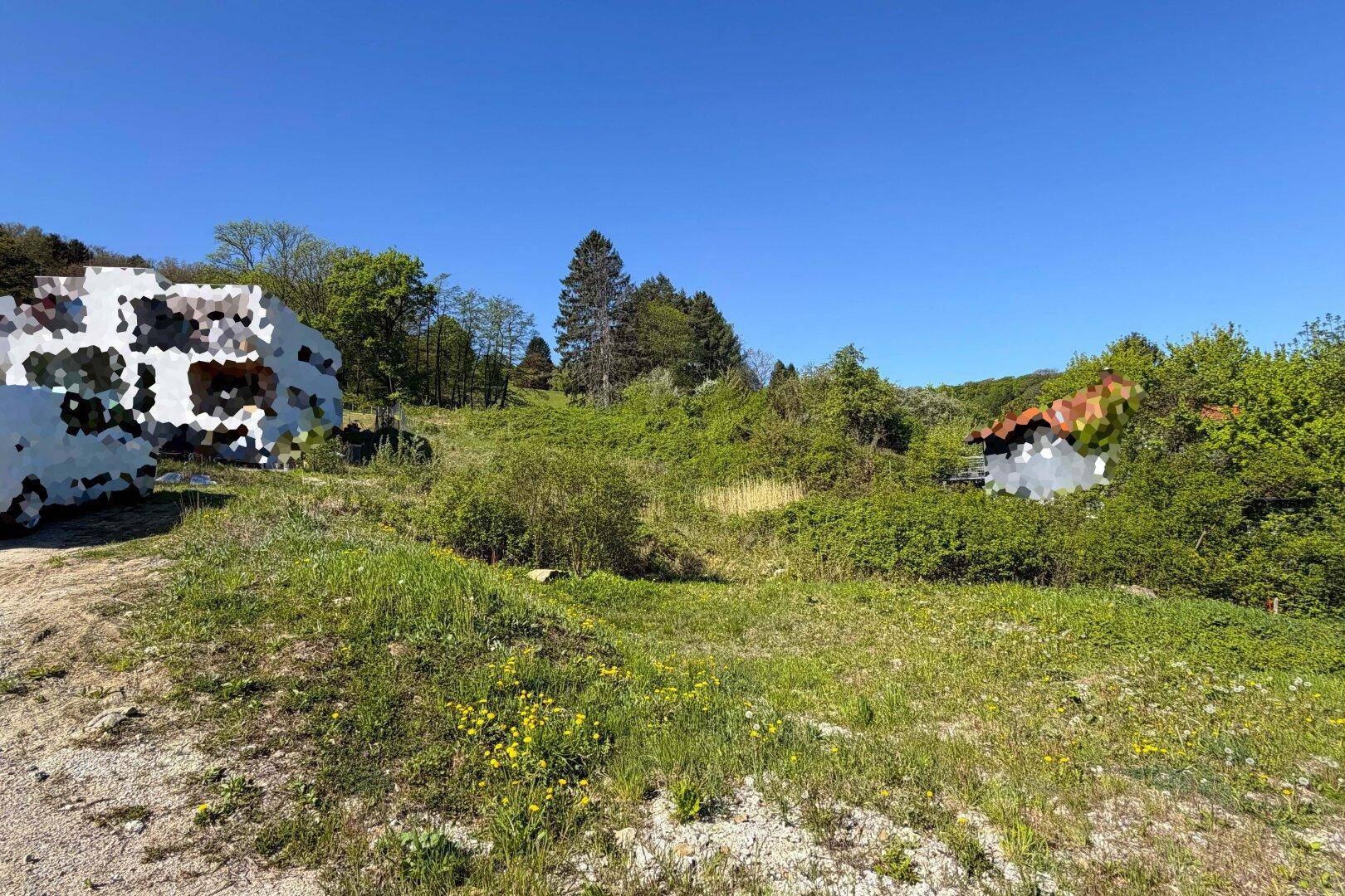 Weitläufiges, unbebautes Grundstück mit üppiger Vegetation und sonnigem Wetter.