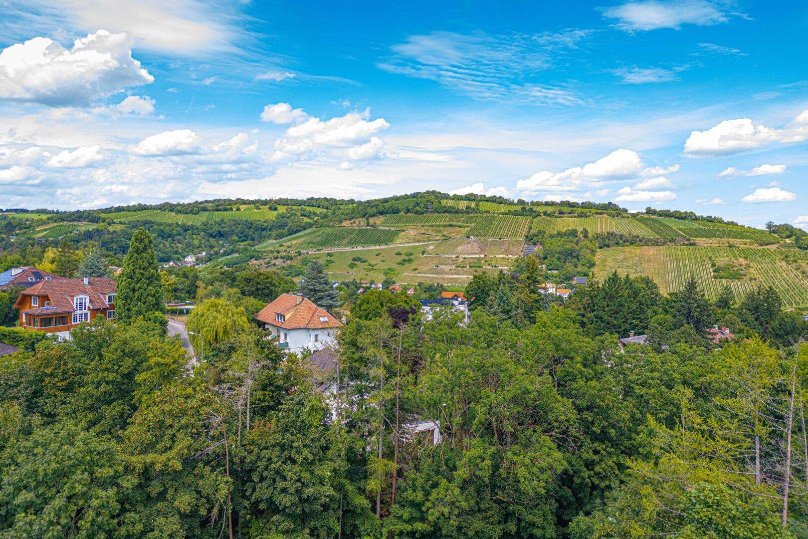 Ausblick, Umgebung