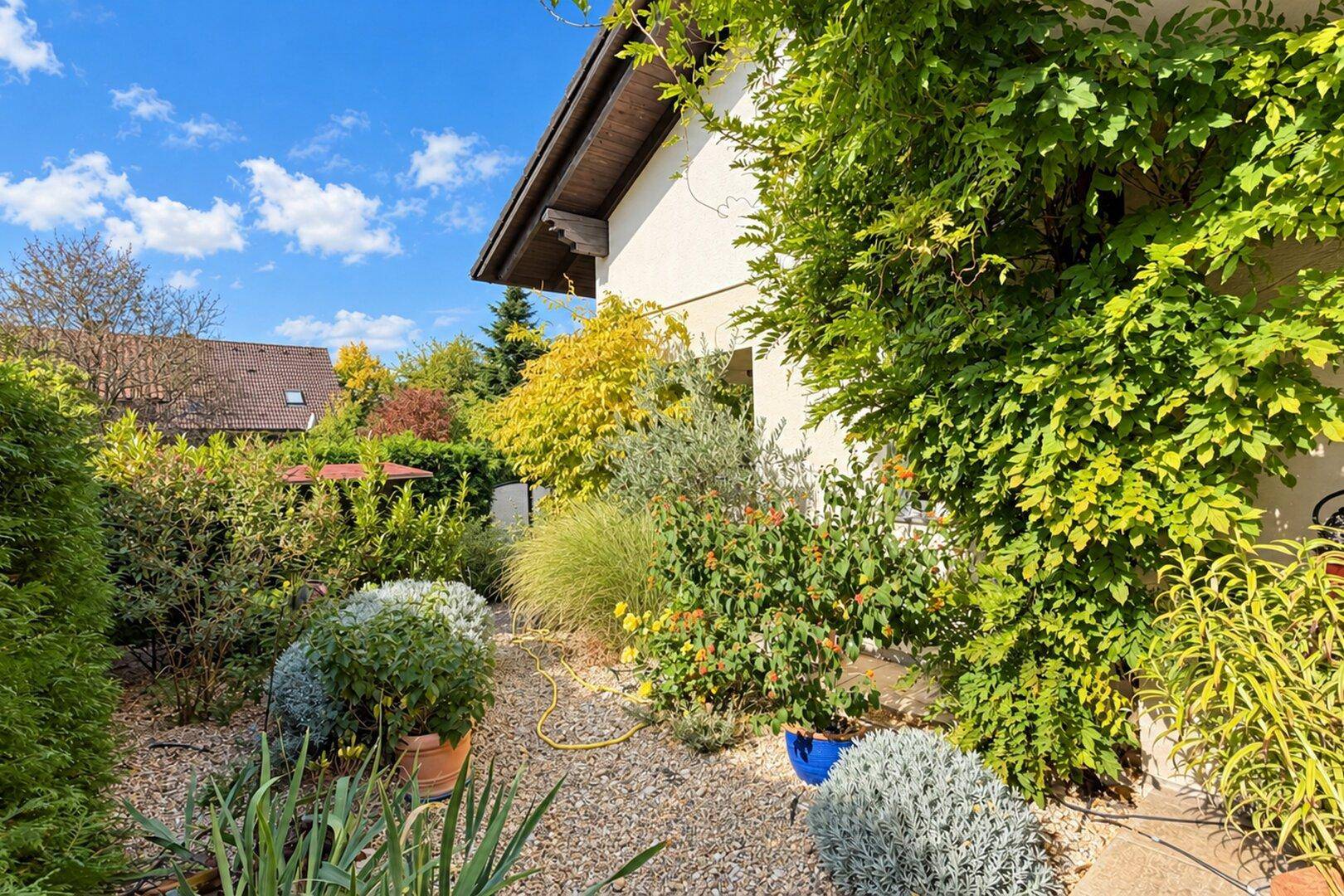 Mediterraner Gartenbereich mit Kieswegen, verschiedenen Pflanzen und blühenden Sträuchern.