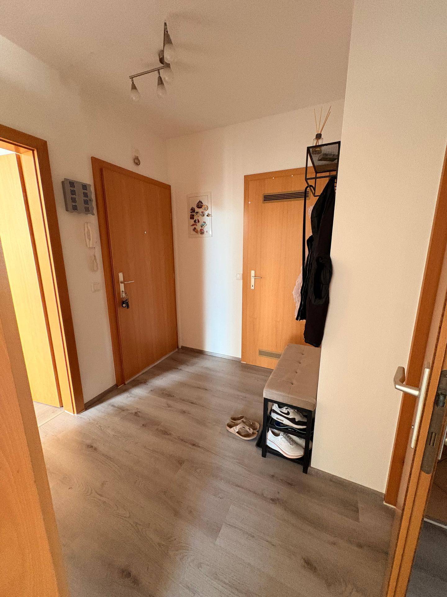 Eingangsbereich mit Laminatboden, Gegensprechanlage und Holzinnentüren.