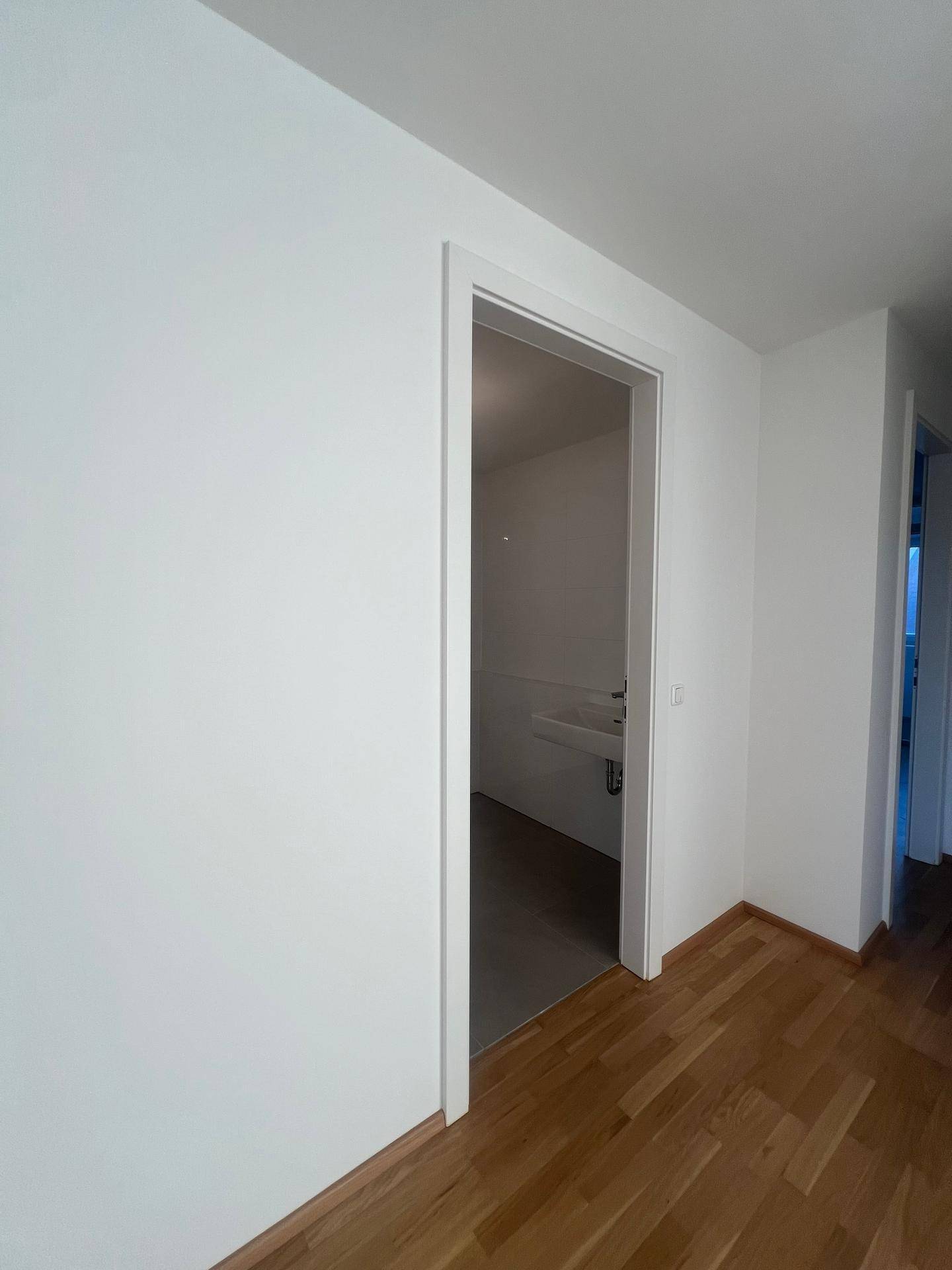 Heller Flur mit Holzboden und Zugang zu einem modernen Badezimmer oder Gäste-WC.