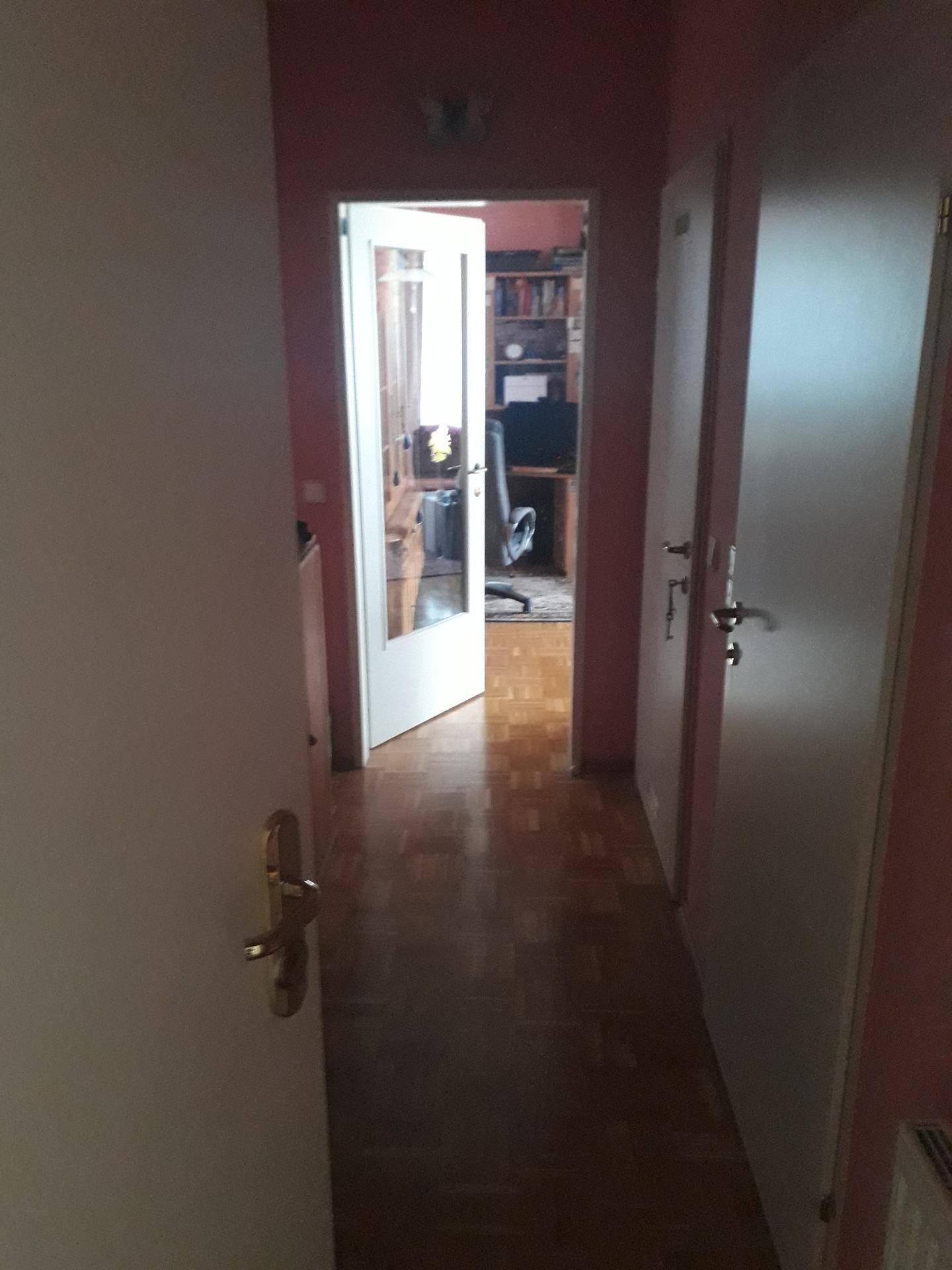 Flur mit Parkettboden und Blick durch eine Glastür in einen weiteren Raum der Wohnung.