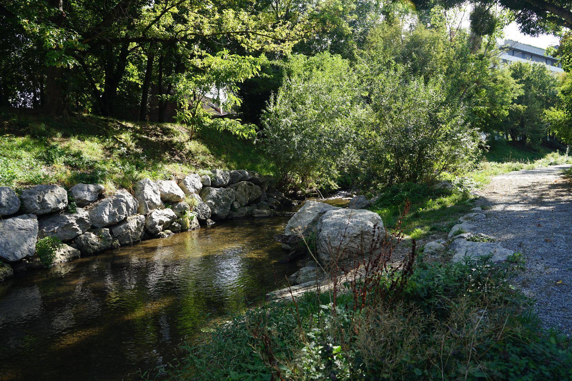 Natürlicher Bachlauf mit Felsen und üppiger Vegetation in einer grünen, idyllischen Umgebung.