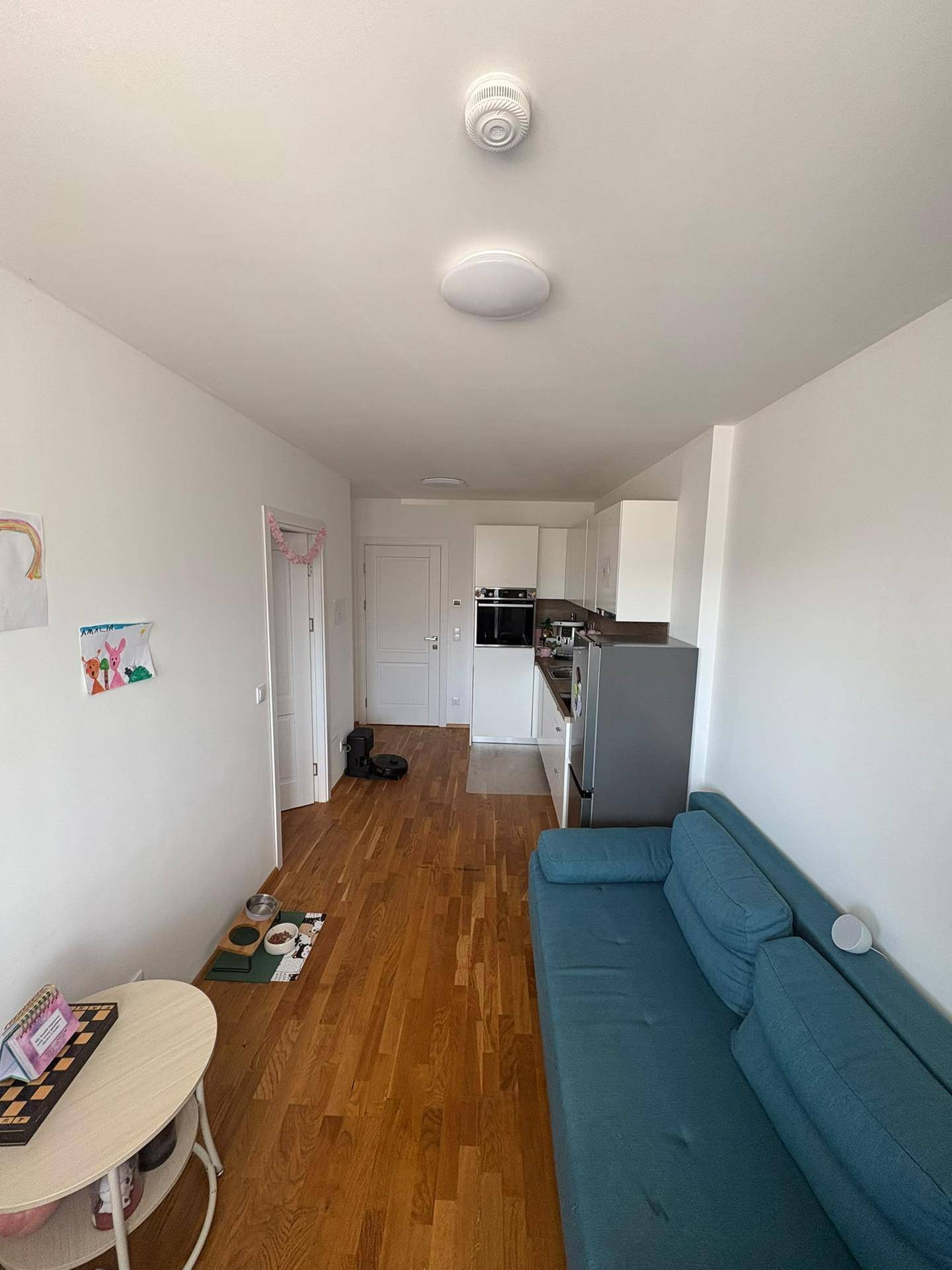 Offener Wohnbereich mit integrierter Küchenzeile, Sofa und Holzboden.