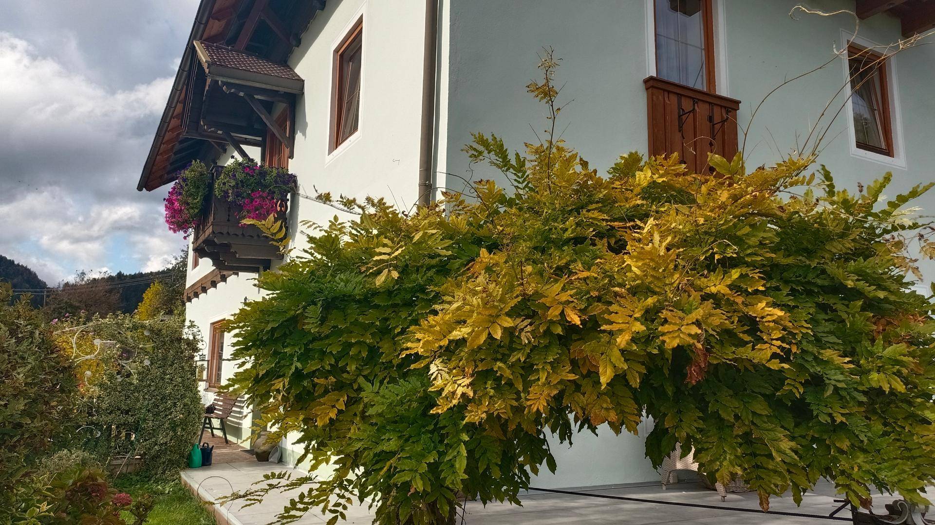 Detailansicht eines Hauses mit Holzbalkon und einem großen, gelb belaubten Busch im Herbst.