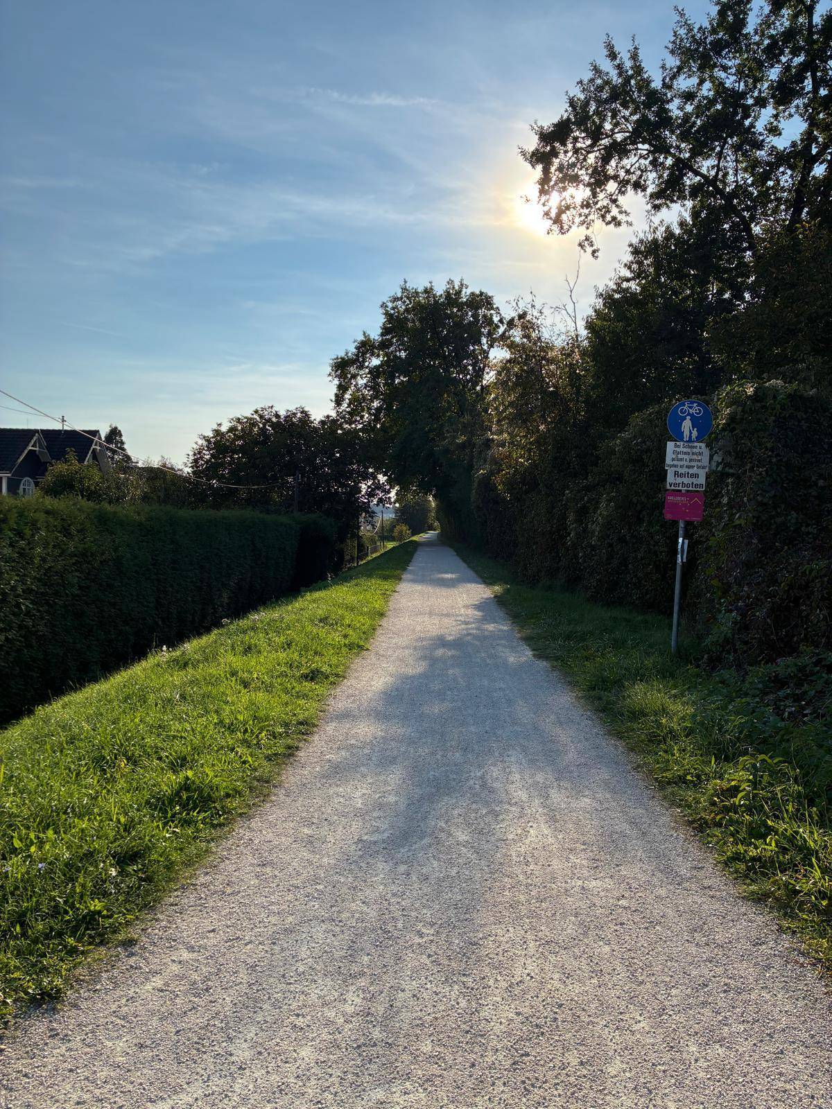 Sonniger Spazierweg umgeben von Bäumen und Hecken, ideal für Erholung im Grünen.