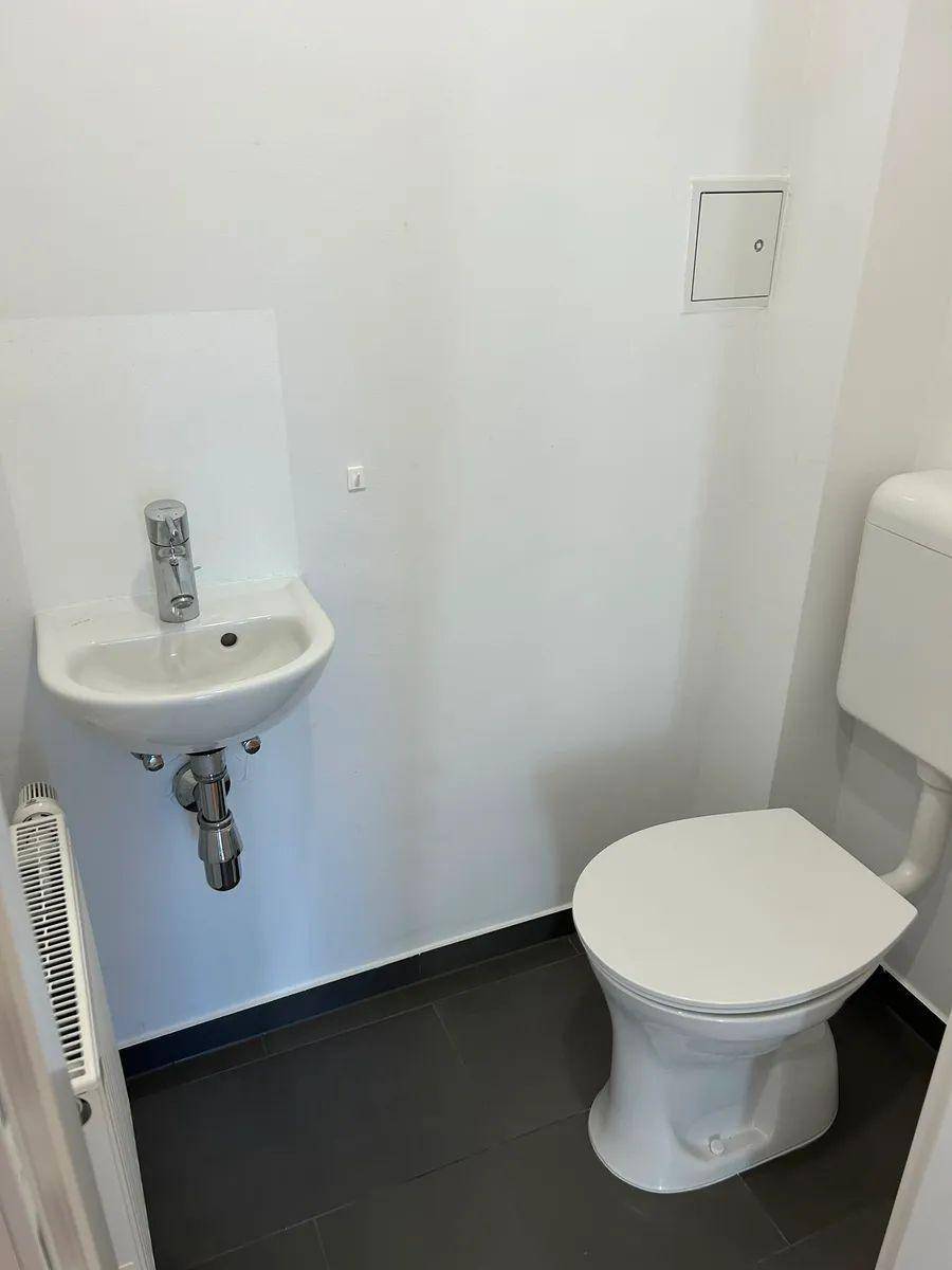 Separates WC mit modernem Wand-WC, kleinem Waschbecken und dunklen Fliesen.